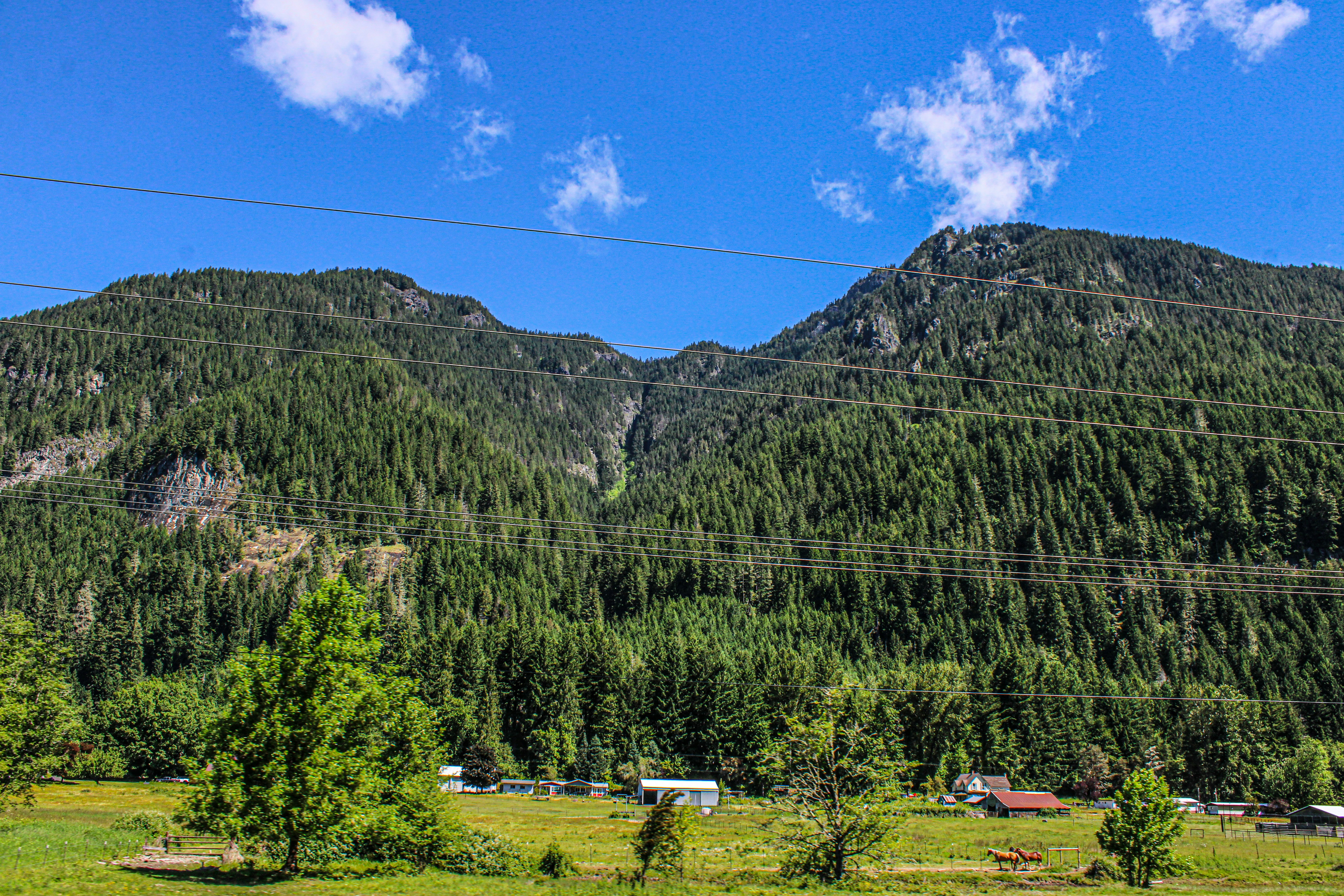 Photo by prphotography262