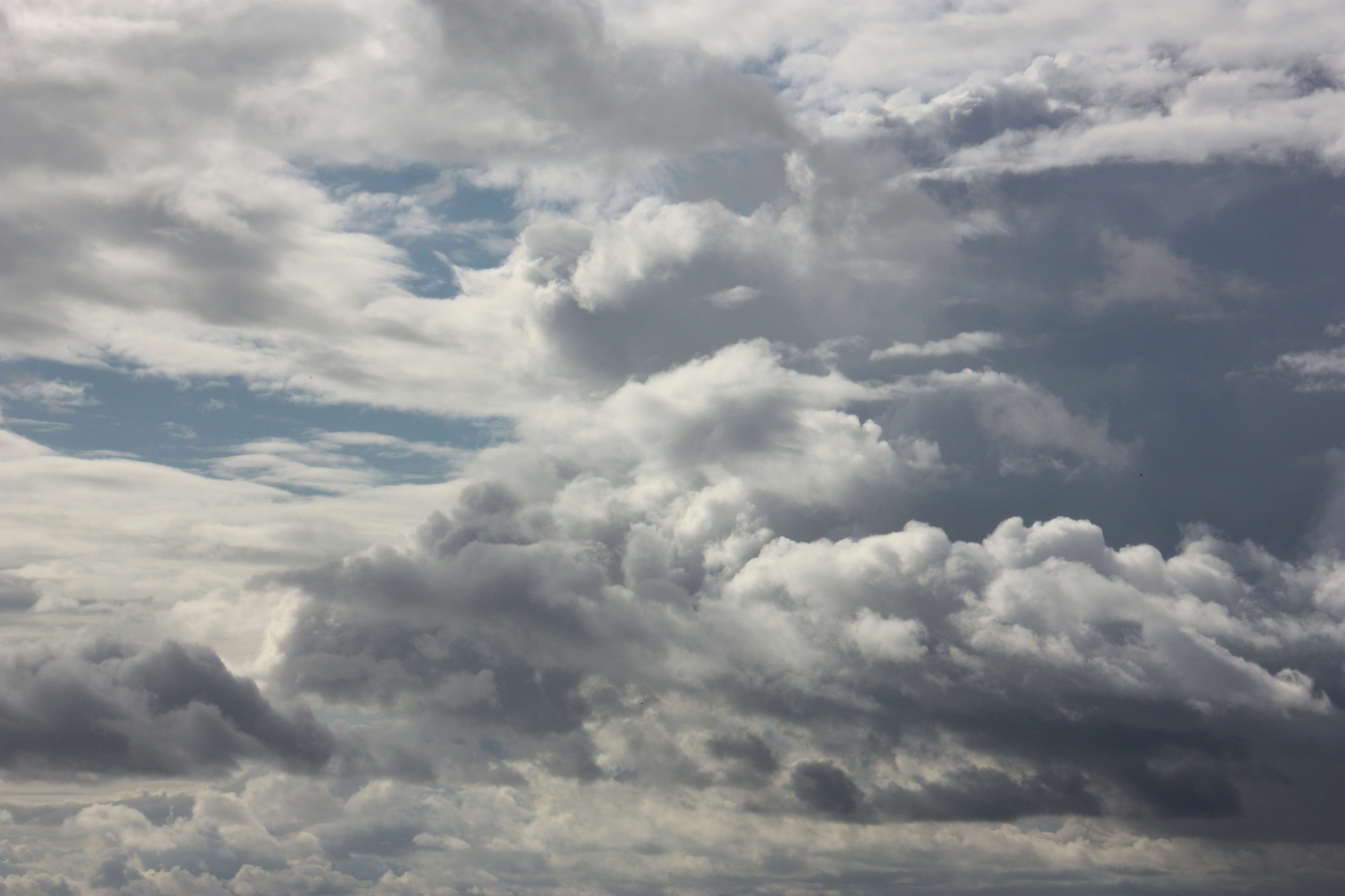 Photo by anthonyaird