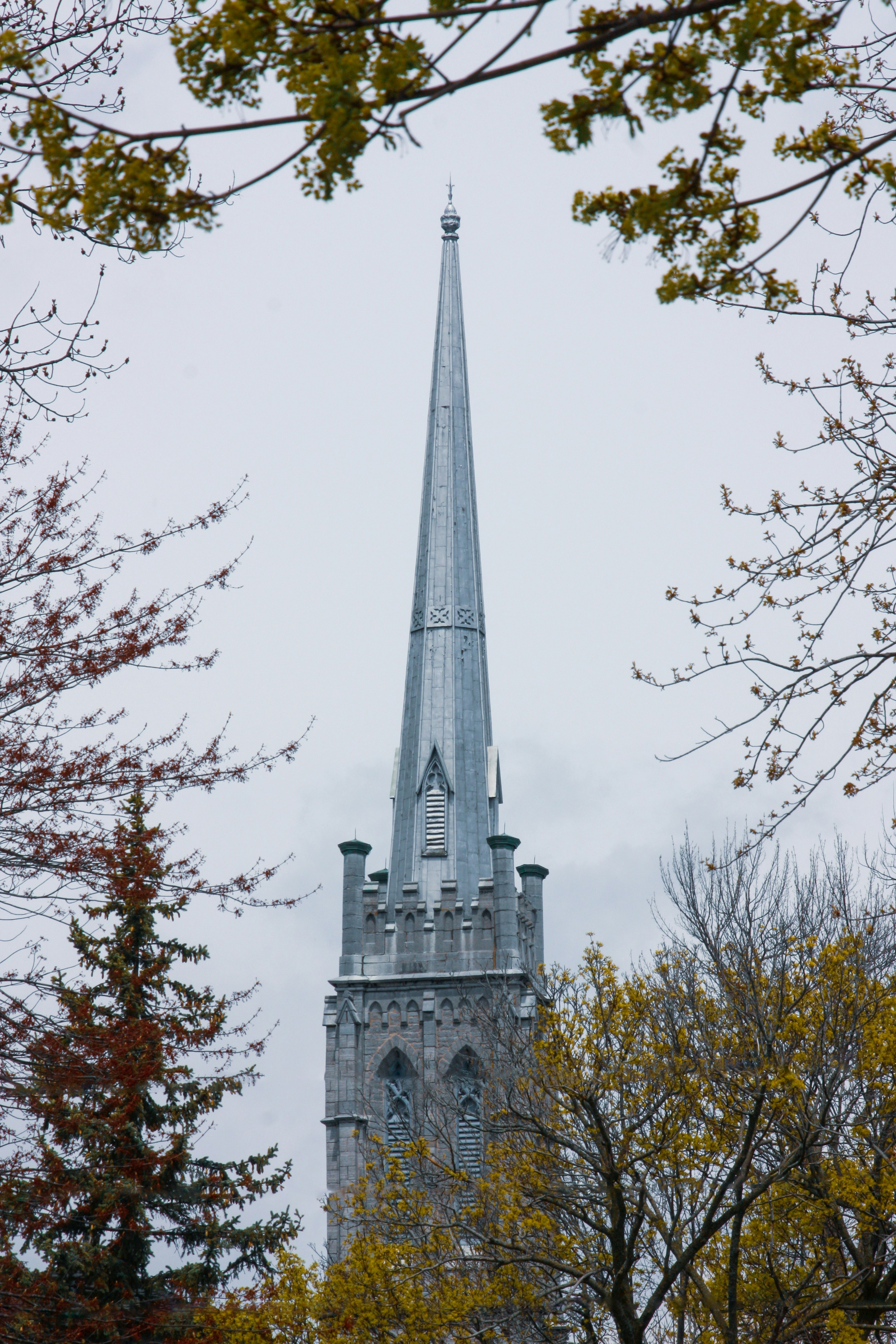 Photo by anthonyaird