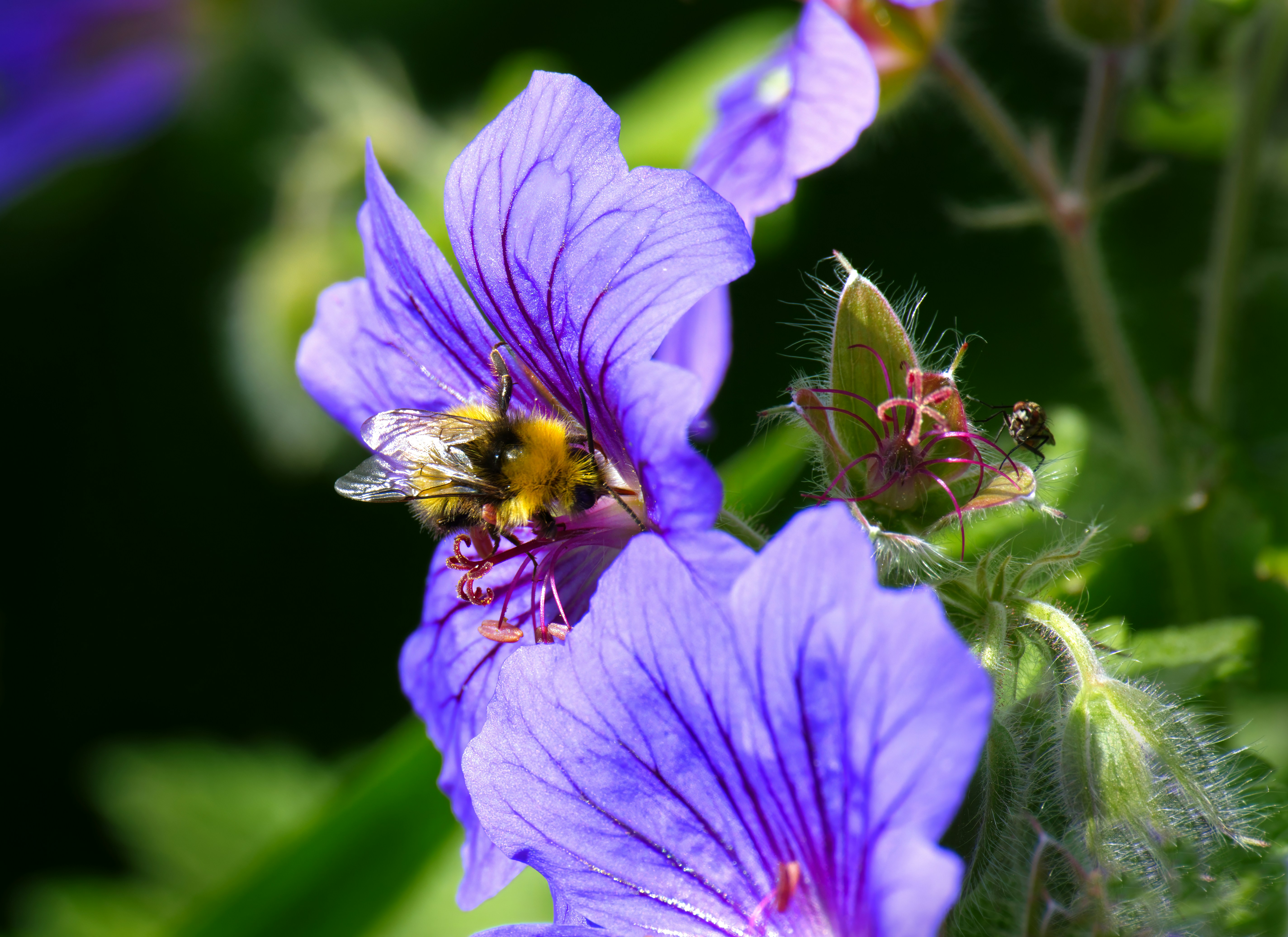 Photo by packetdiscards