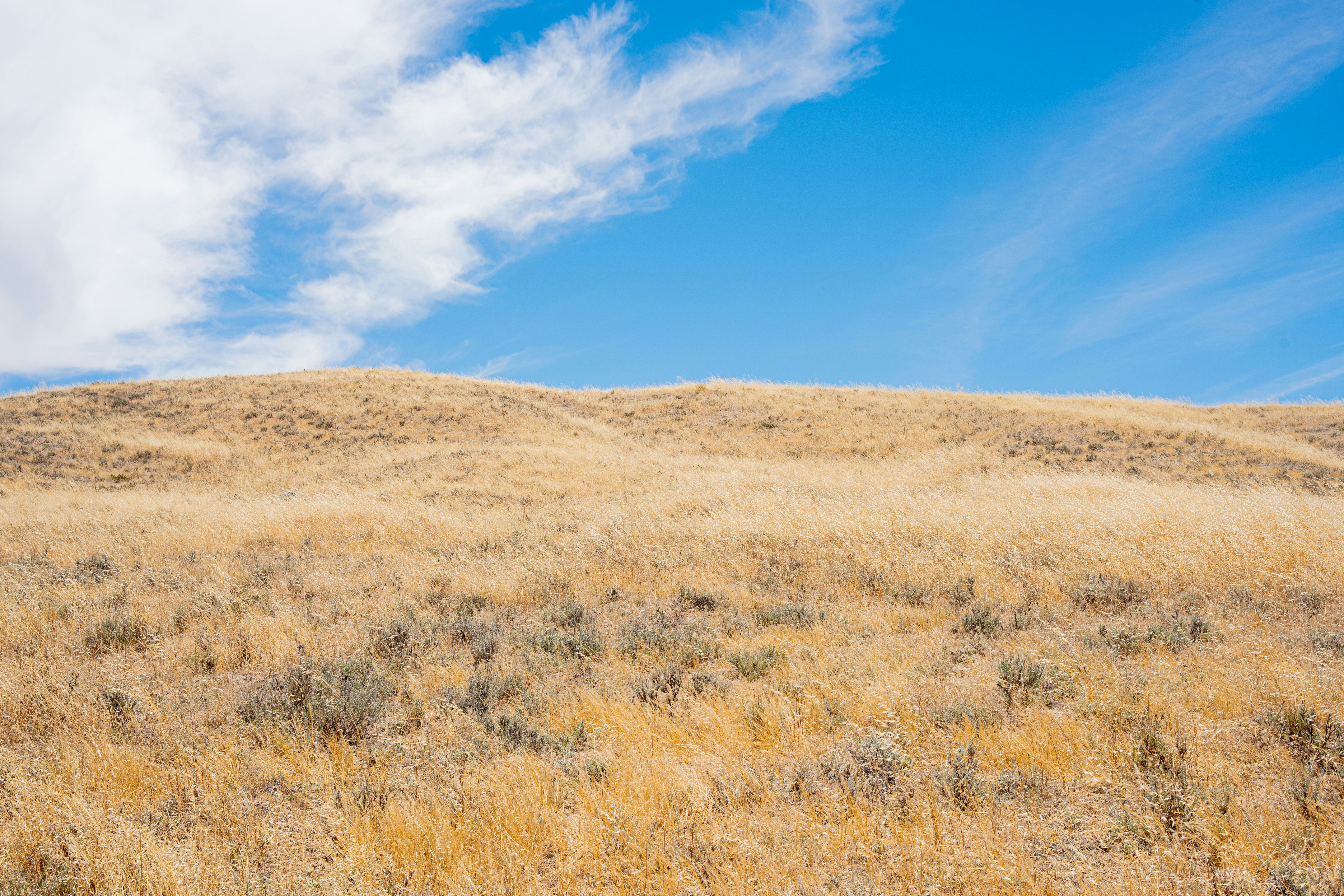 Photo by heribertomurr