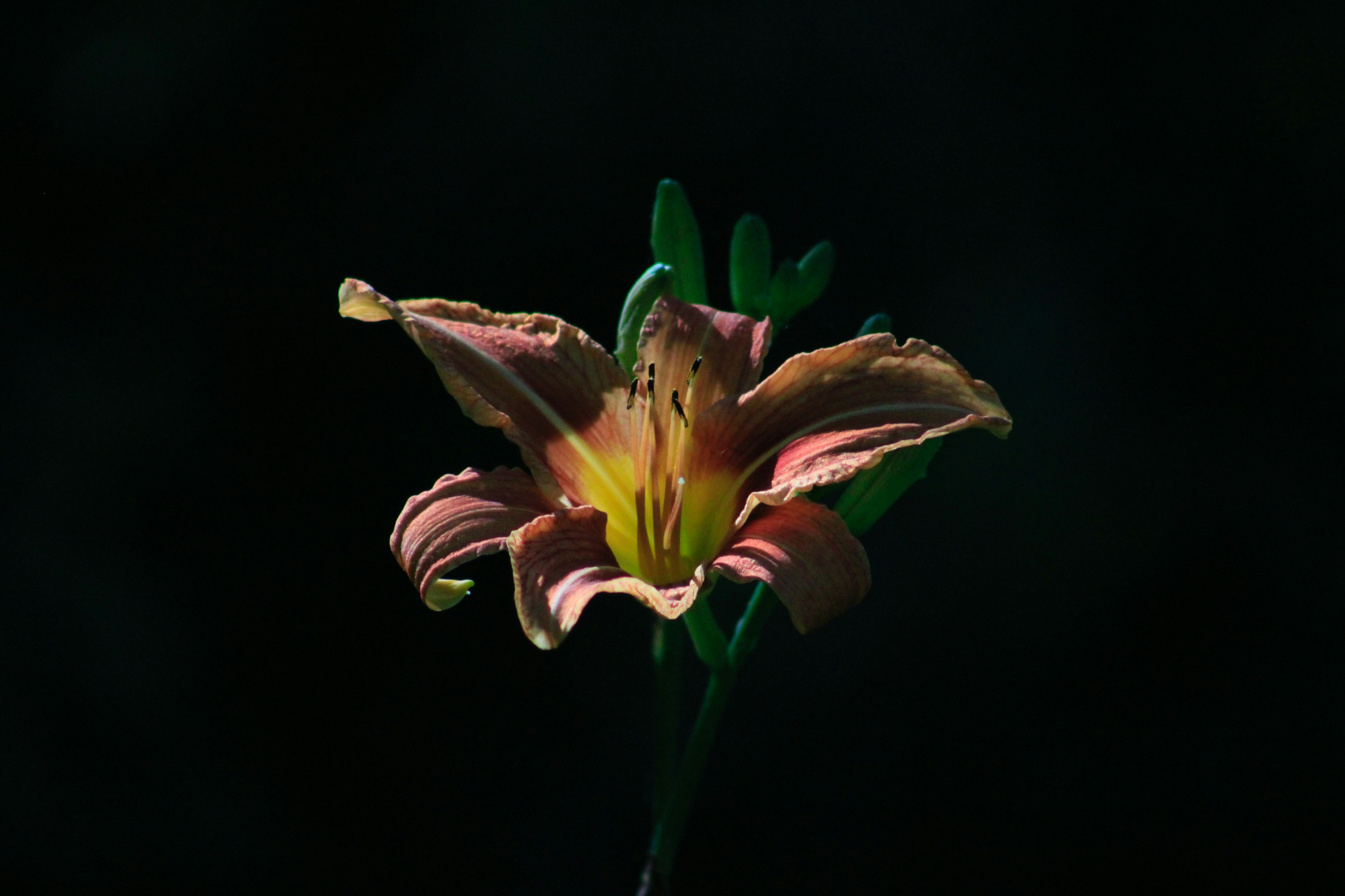 Photo by lisa_duqlaw