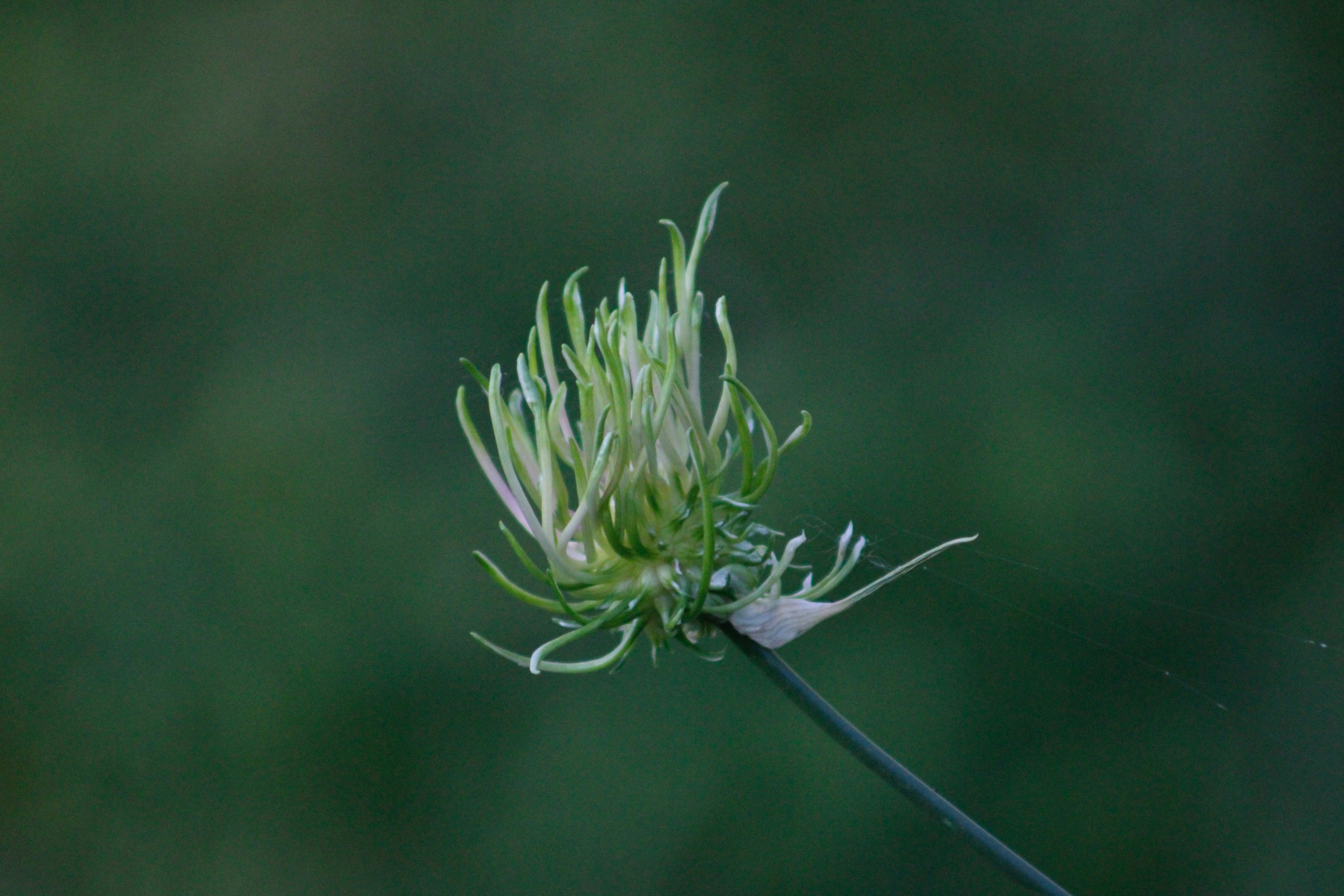 Photo by lisa_duqlaw