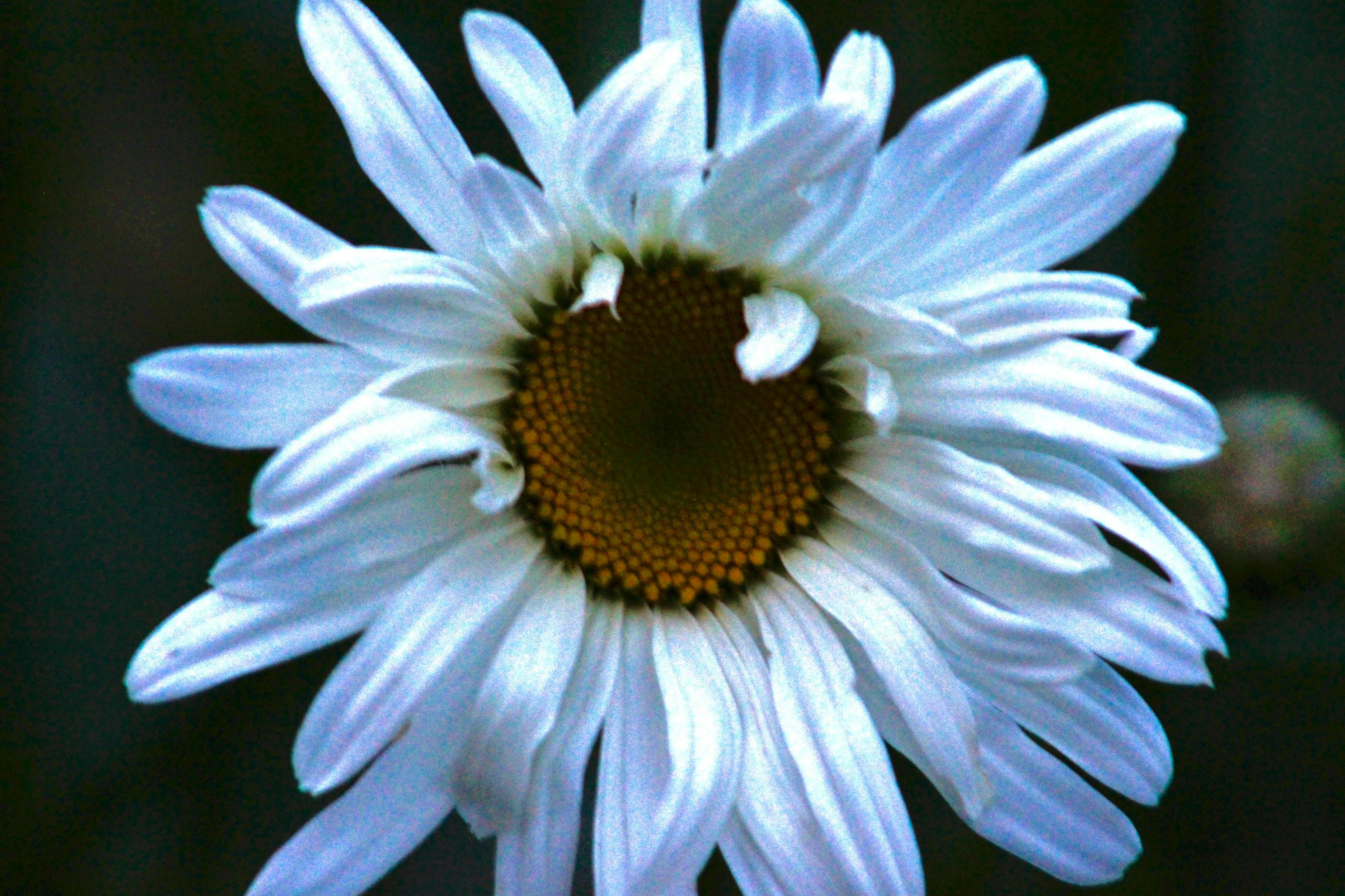 Photo by lisa_duqlaw