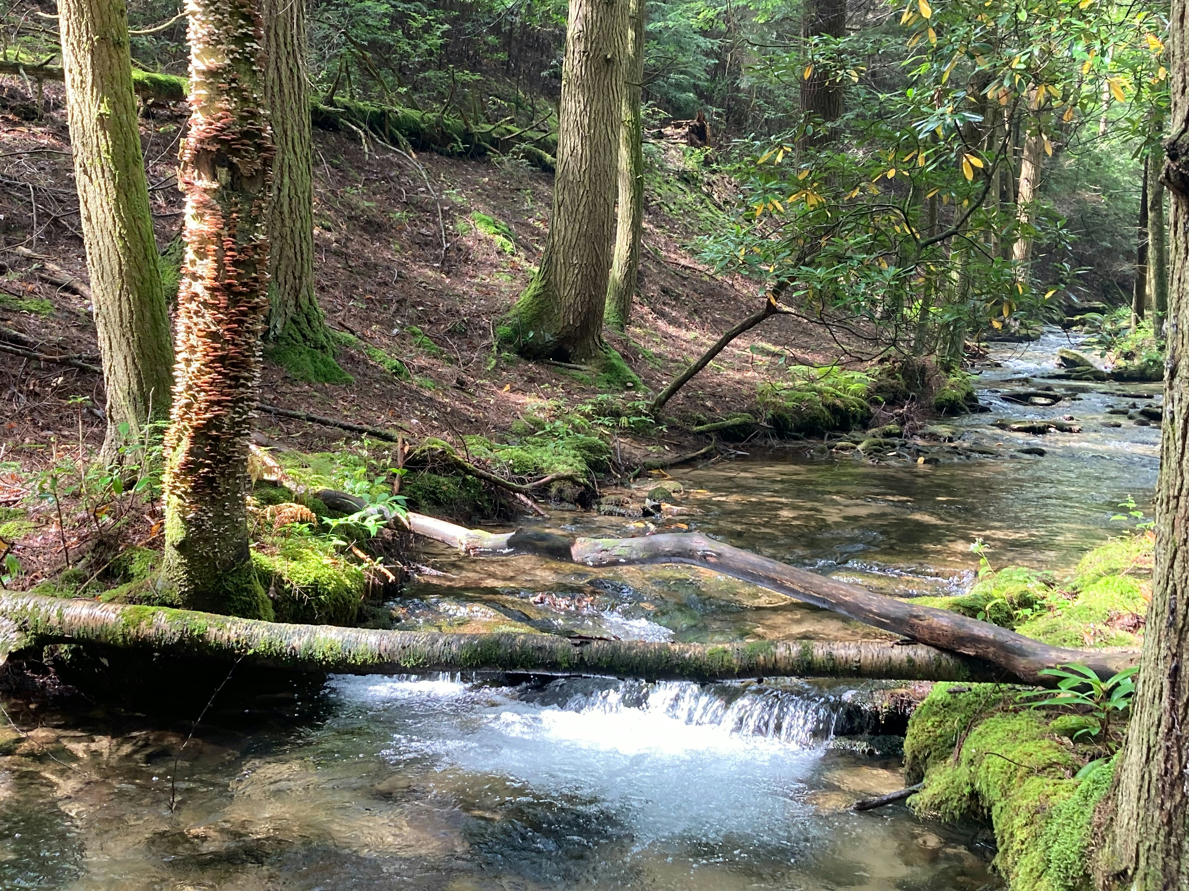 Photo by lisa_duqlaw