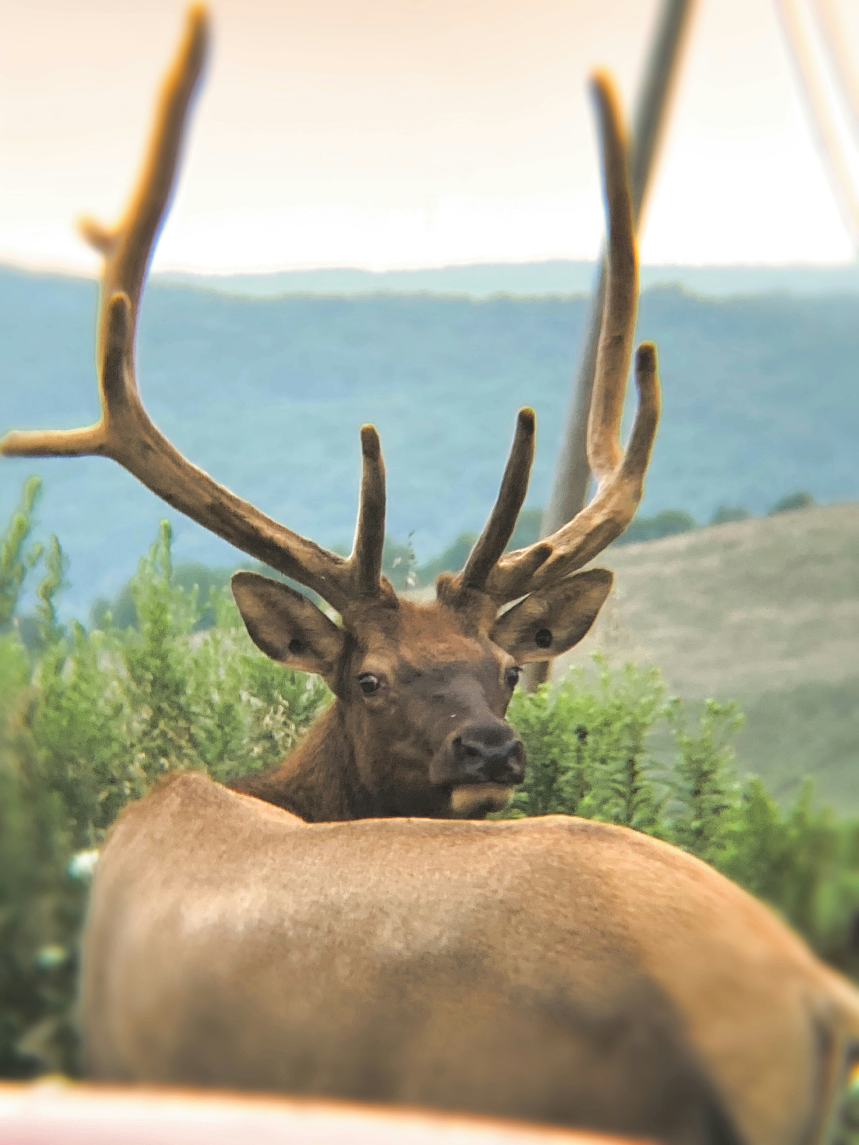 Photo by lisa_duqlaw