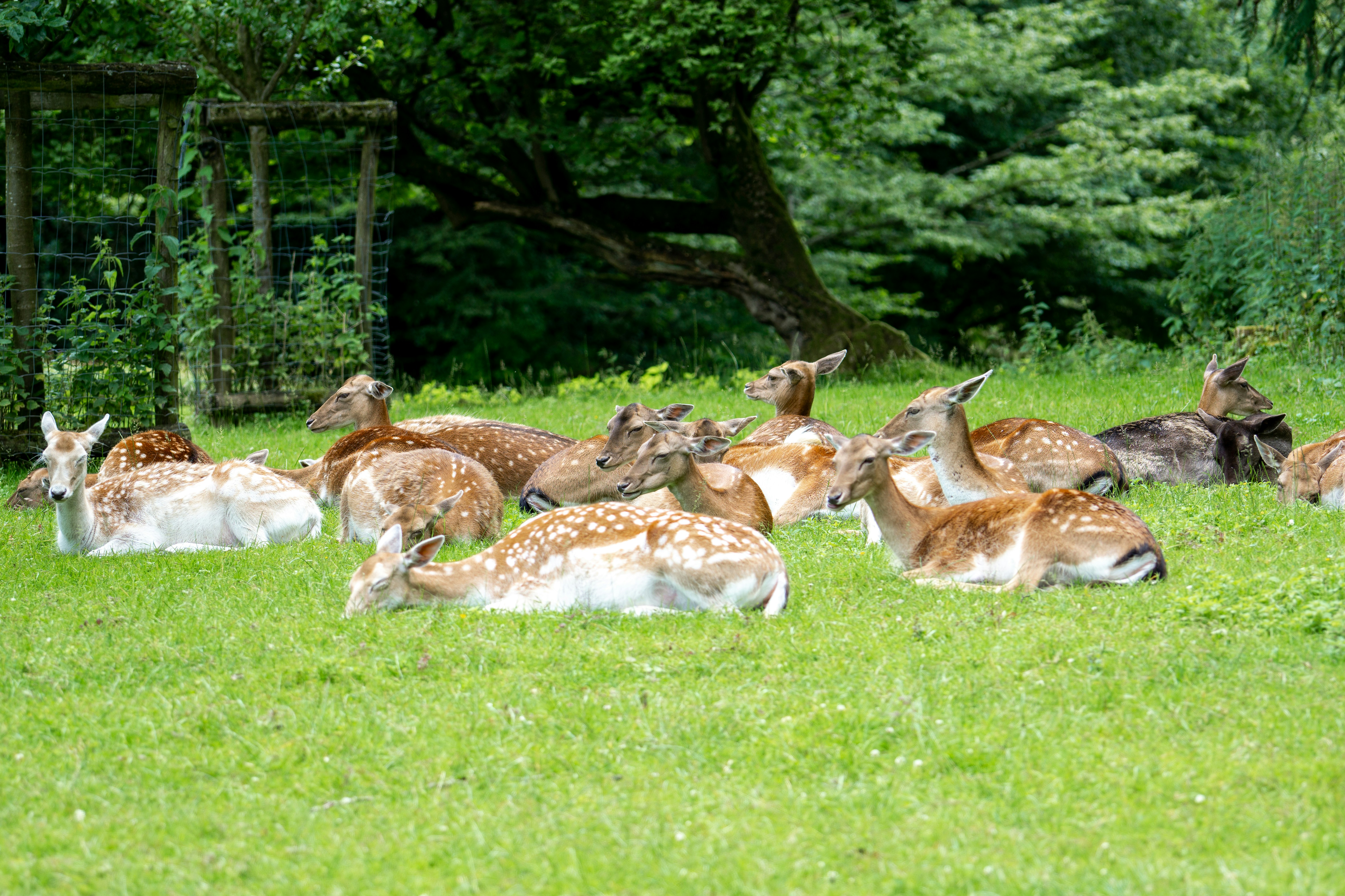 Photo by robertschwarz