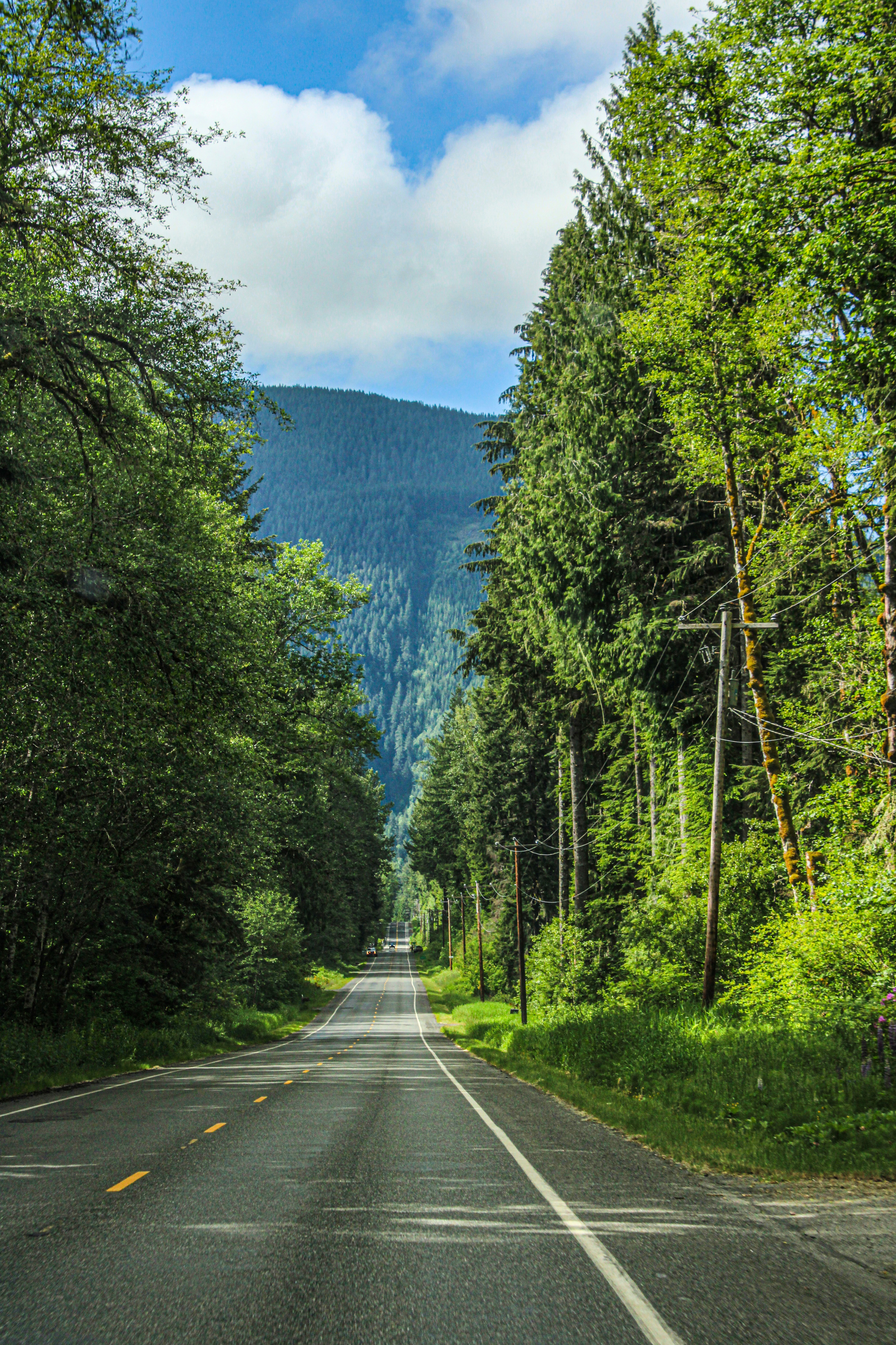 Photo by prphotography262