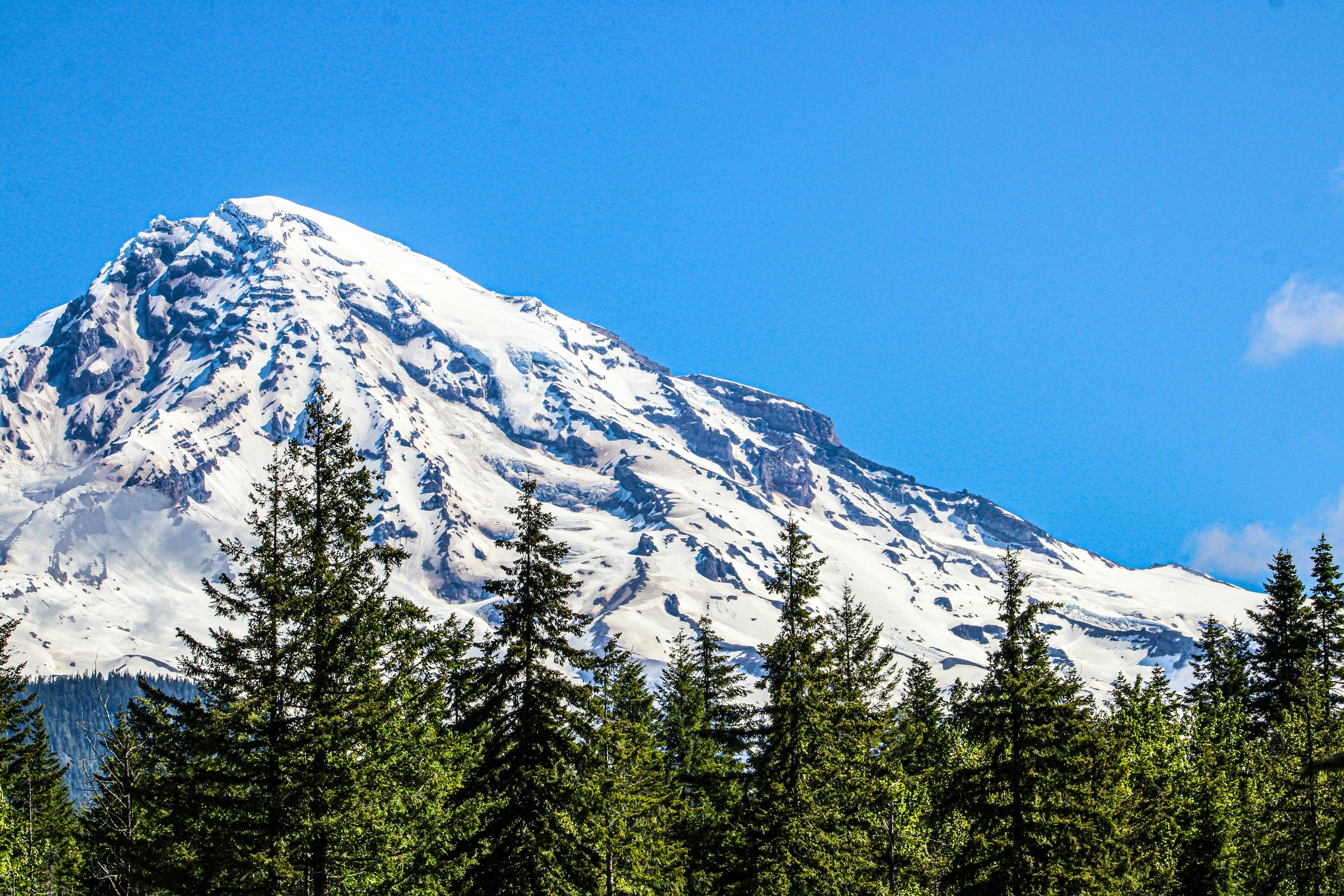 Photo by prphotography262