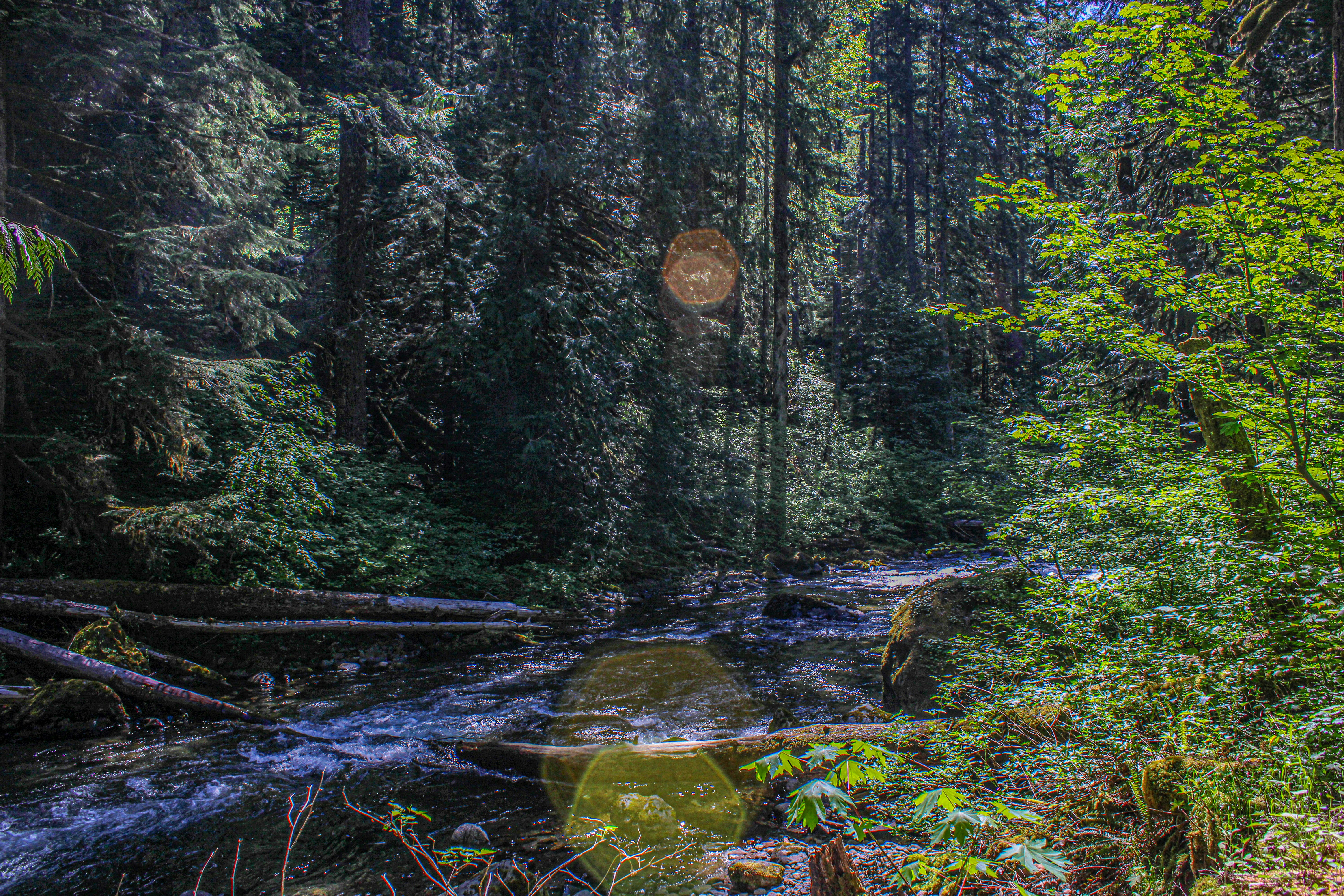 Photo by prphotography262