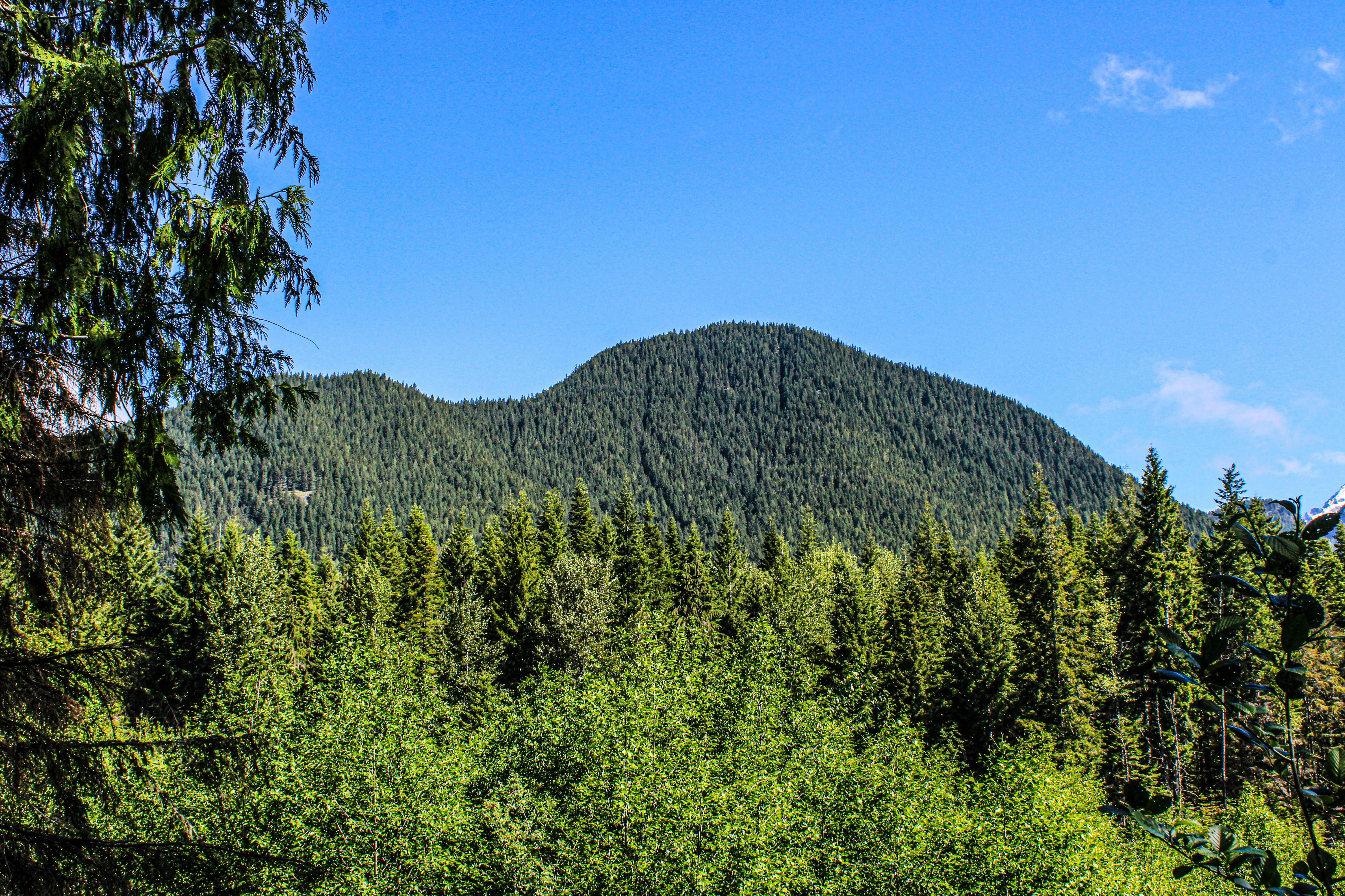 Photo by prphotography262