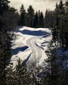 A snow covered road in the middle of a forest