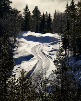 A snow covered road in the middle of a forest