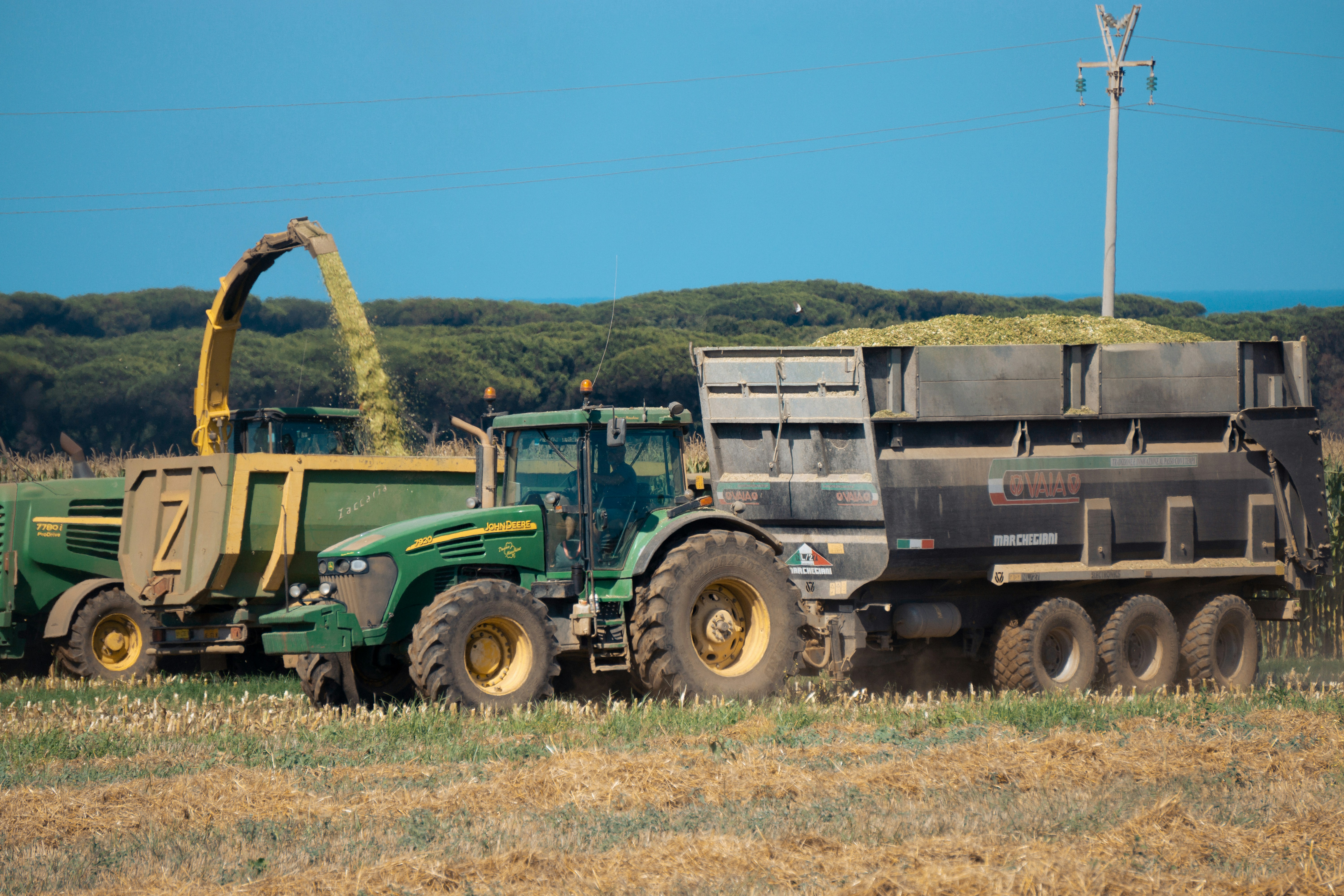 Photo by samuel_solcan