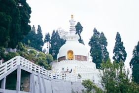 A white building with a white roof surrounded by trees