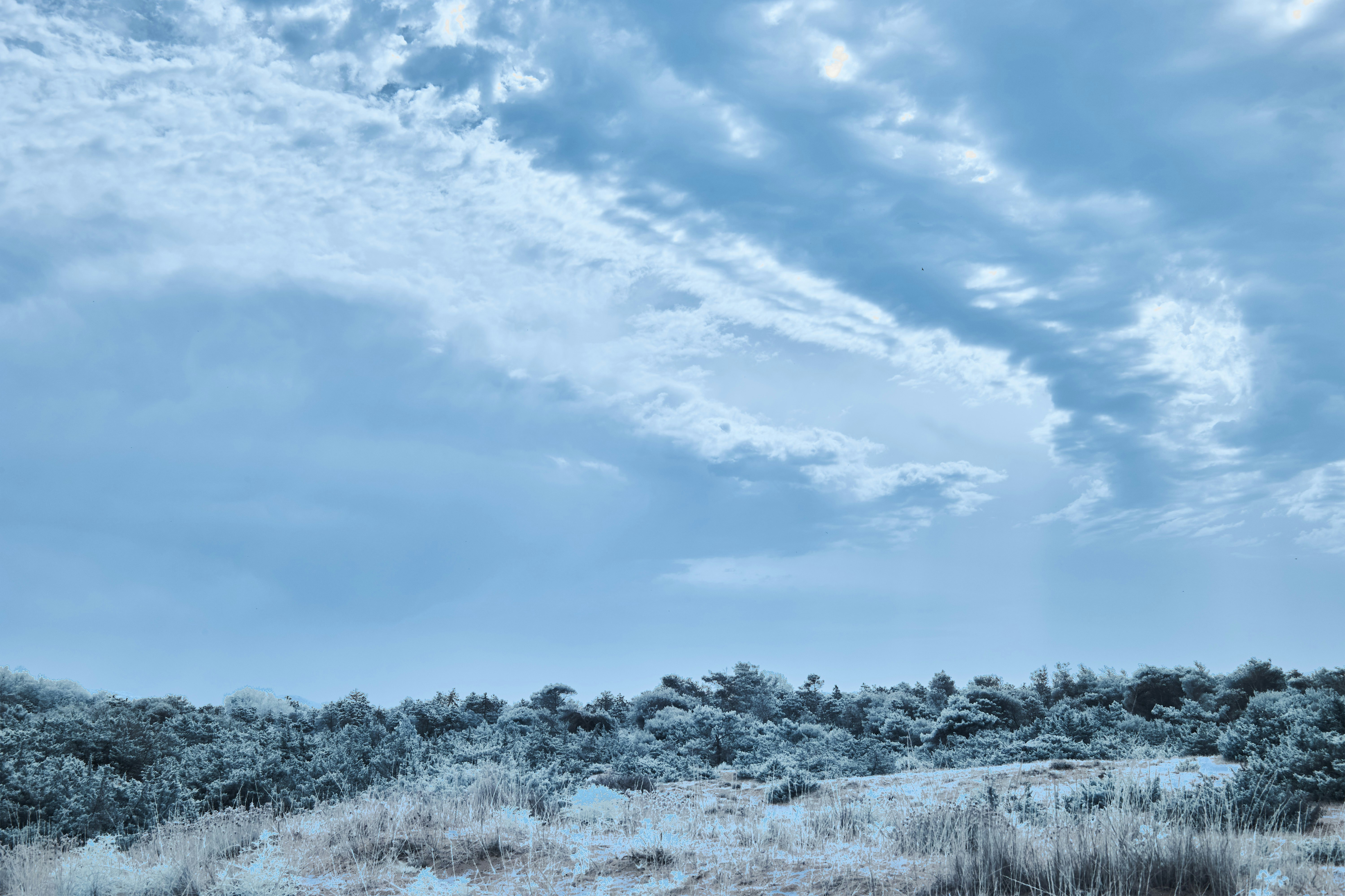 Photo by wolfgang_hasselmann