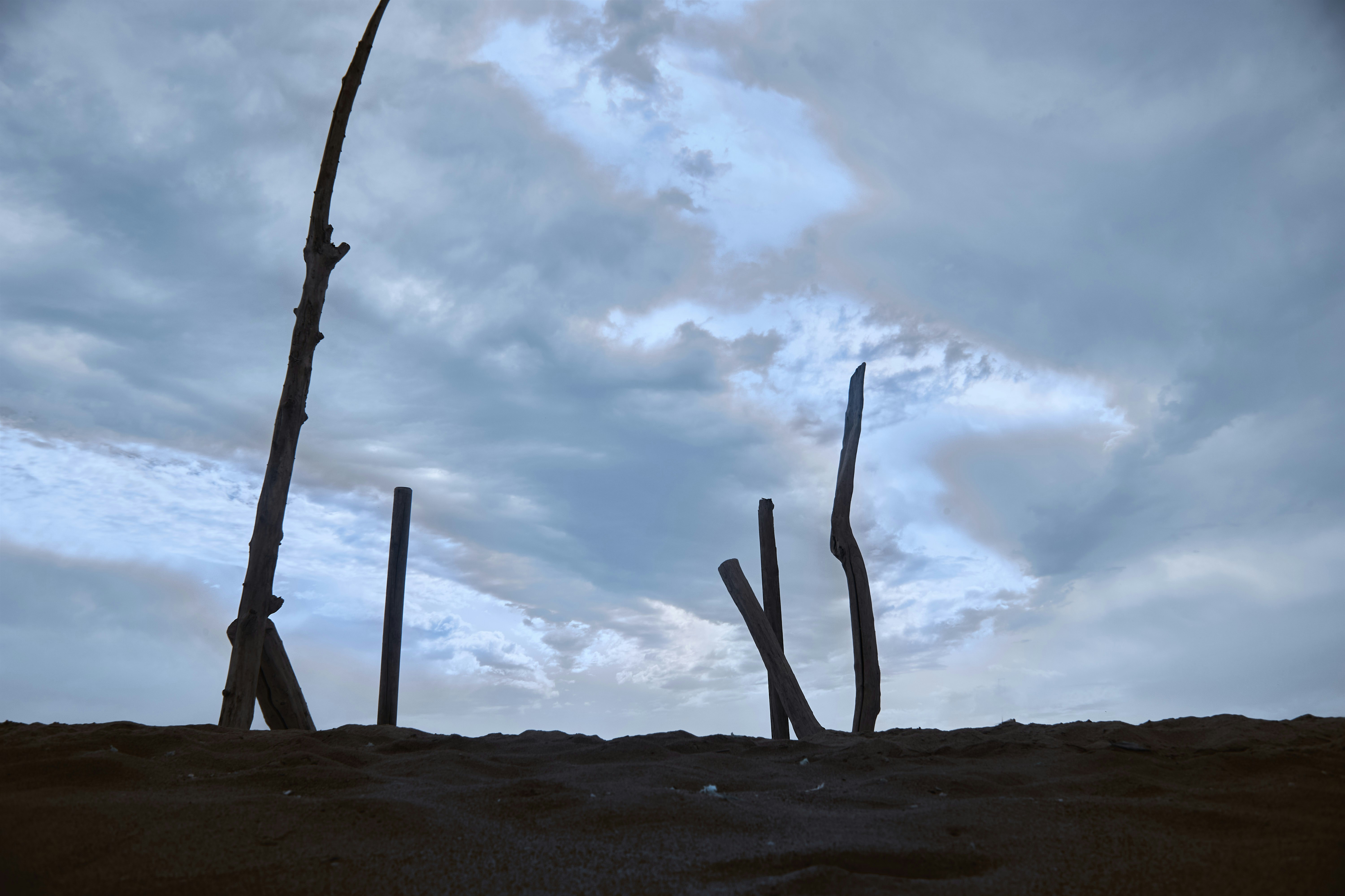 Photo by wolfgang_hasselmann