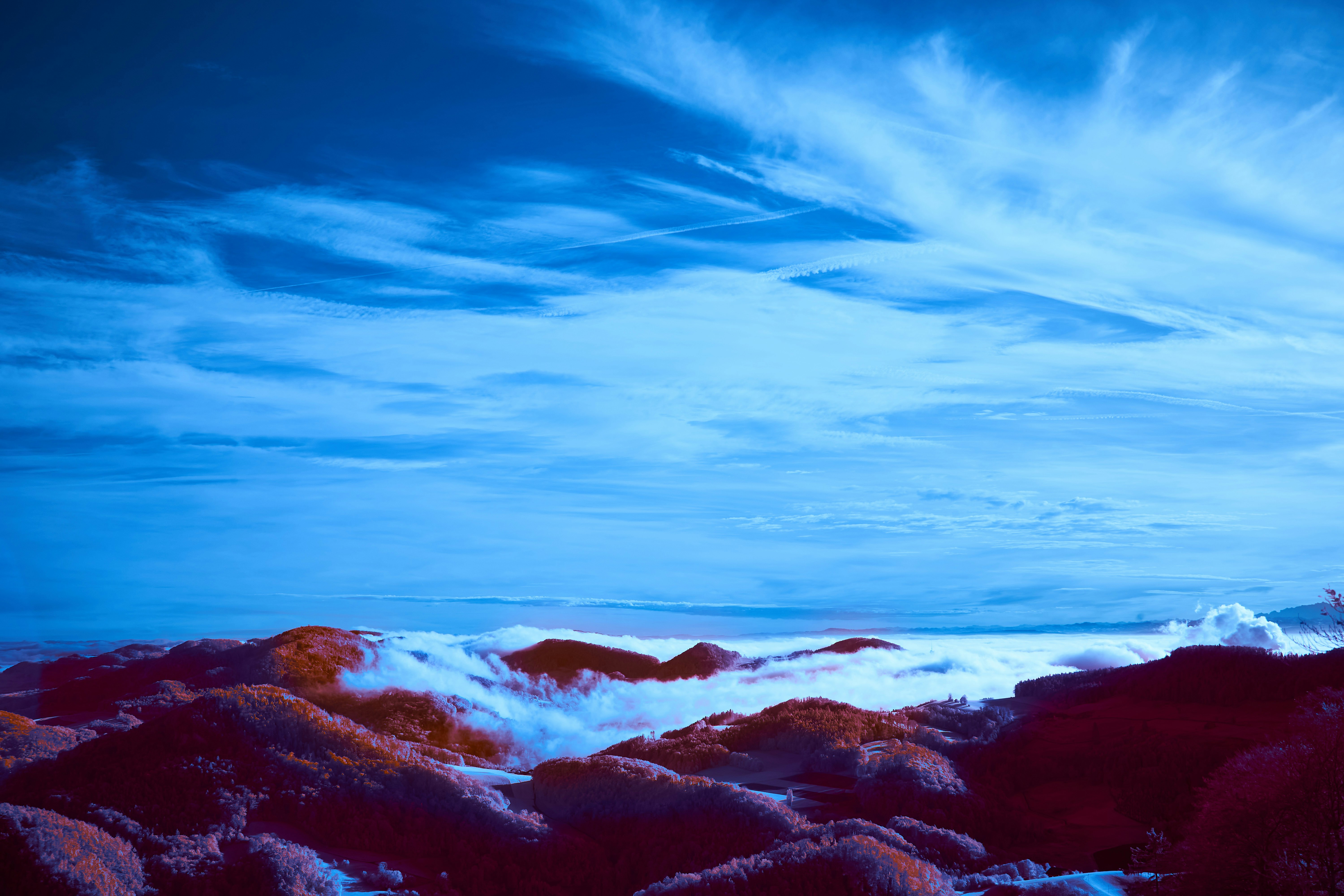 Photo by wolfgang_hasselmann