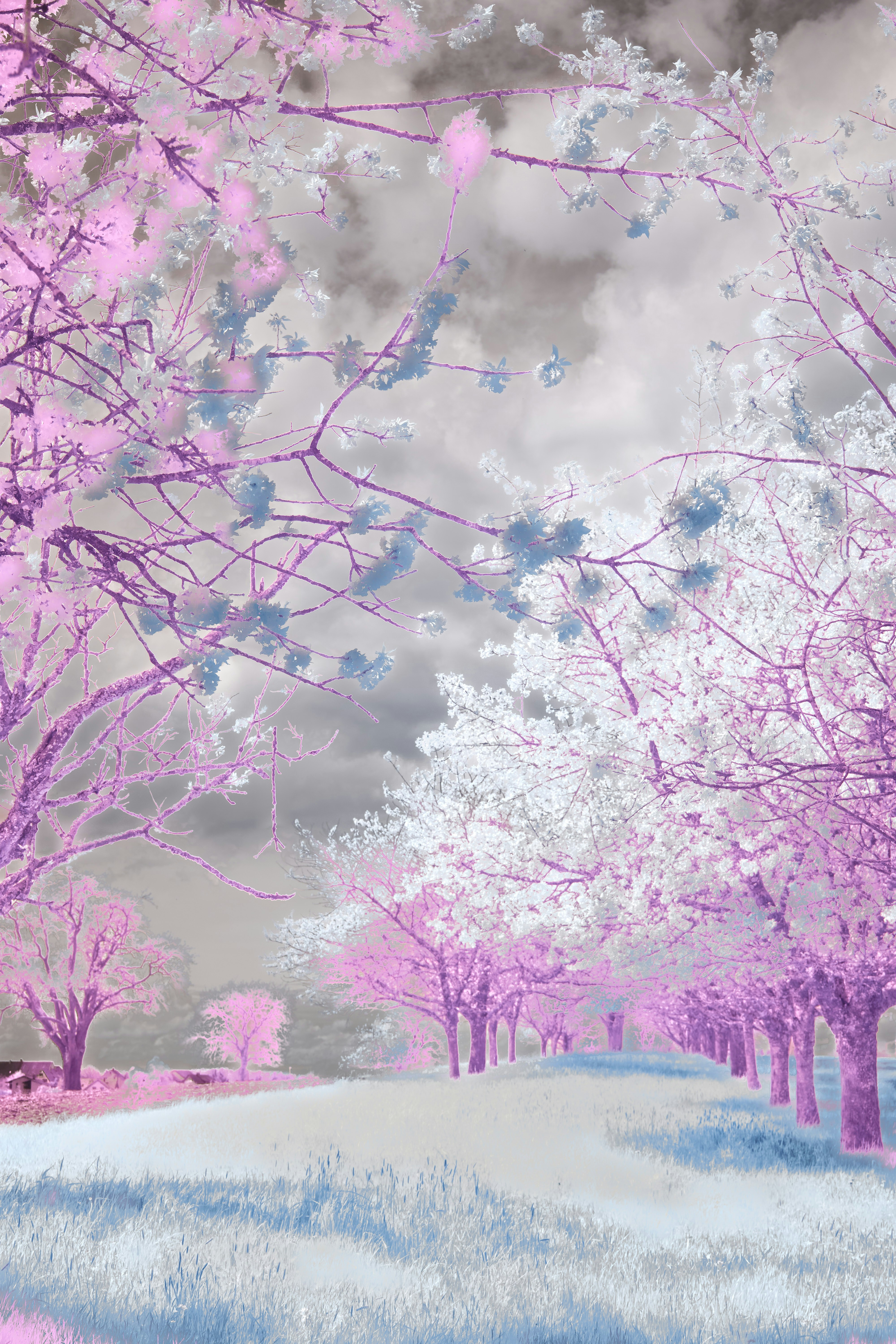 Scène De Neige Simple Vent Chinois Et Grand Froid 24 Termes Solaires Fond  D'hiver | PSD Fond Téléchargement Gratuit - Pikbest, image size:3000x4500