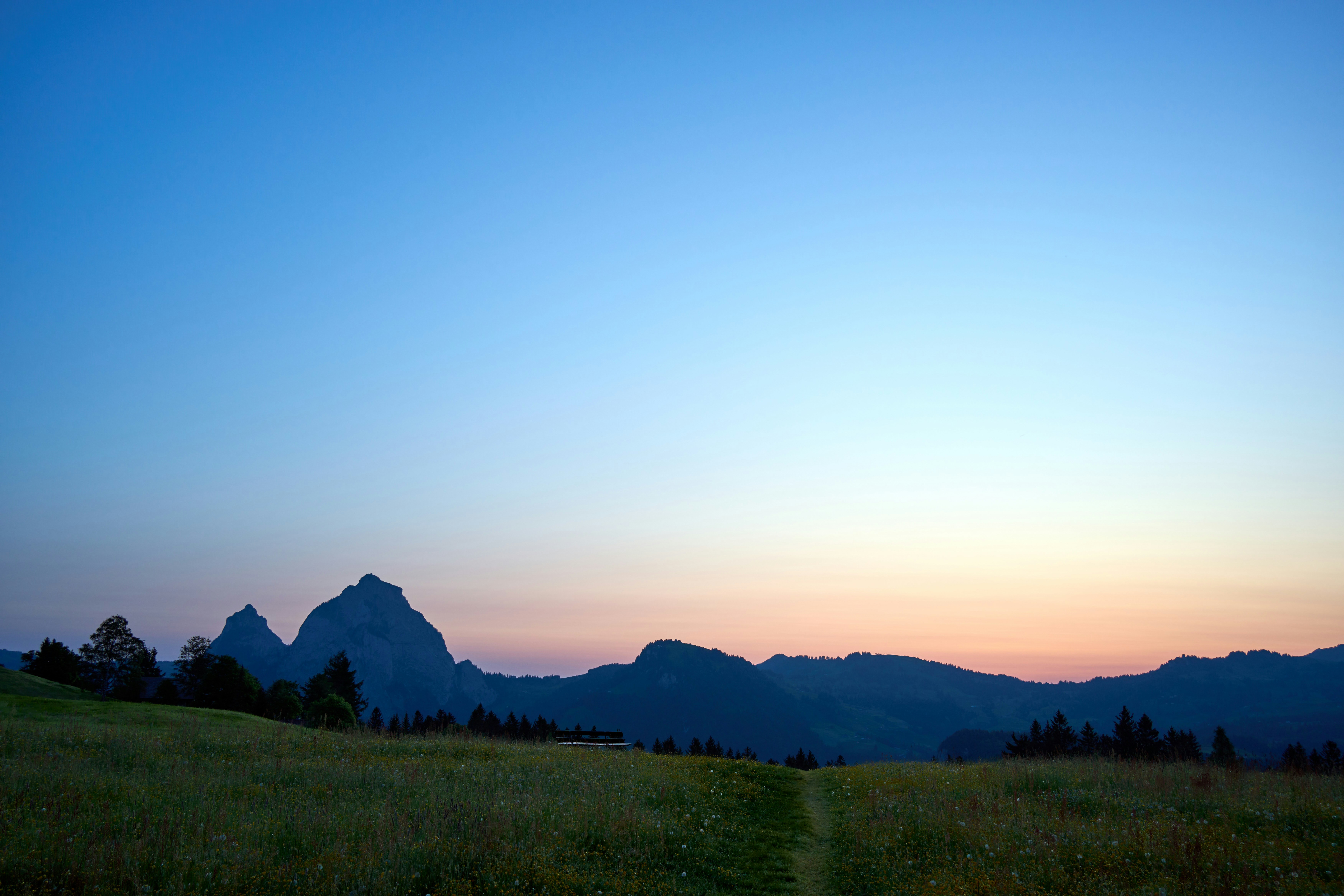 Photo by wolfgang_hasselmann