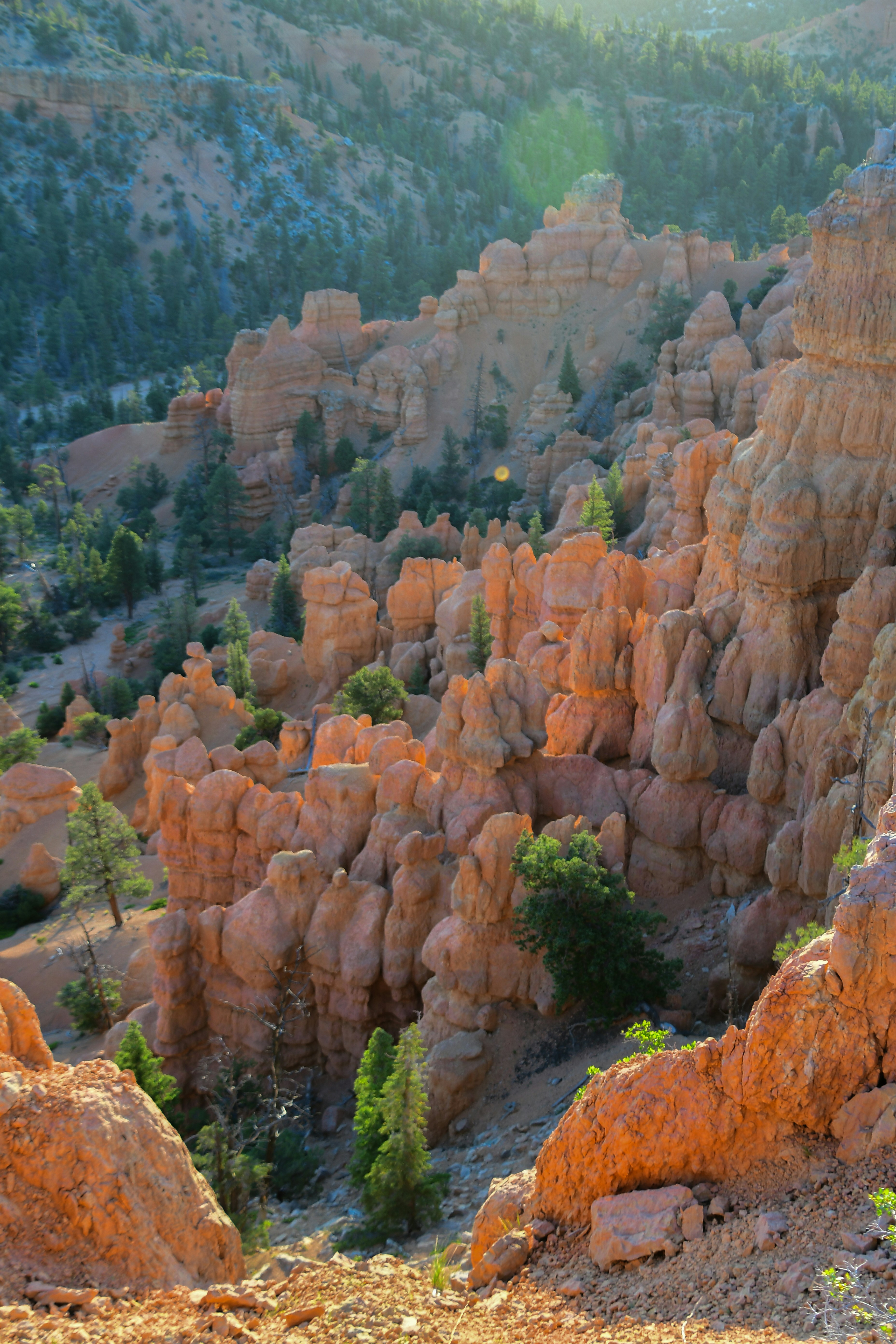 Photo by tory_hoffman