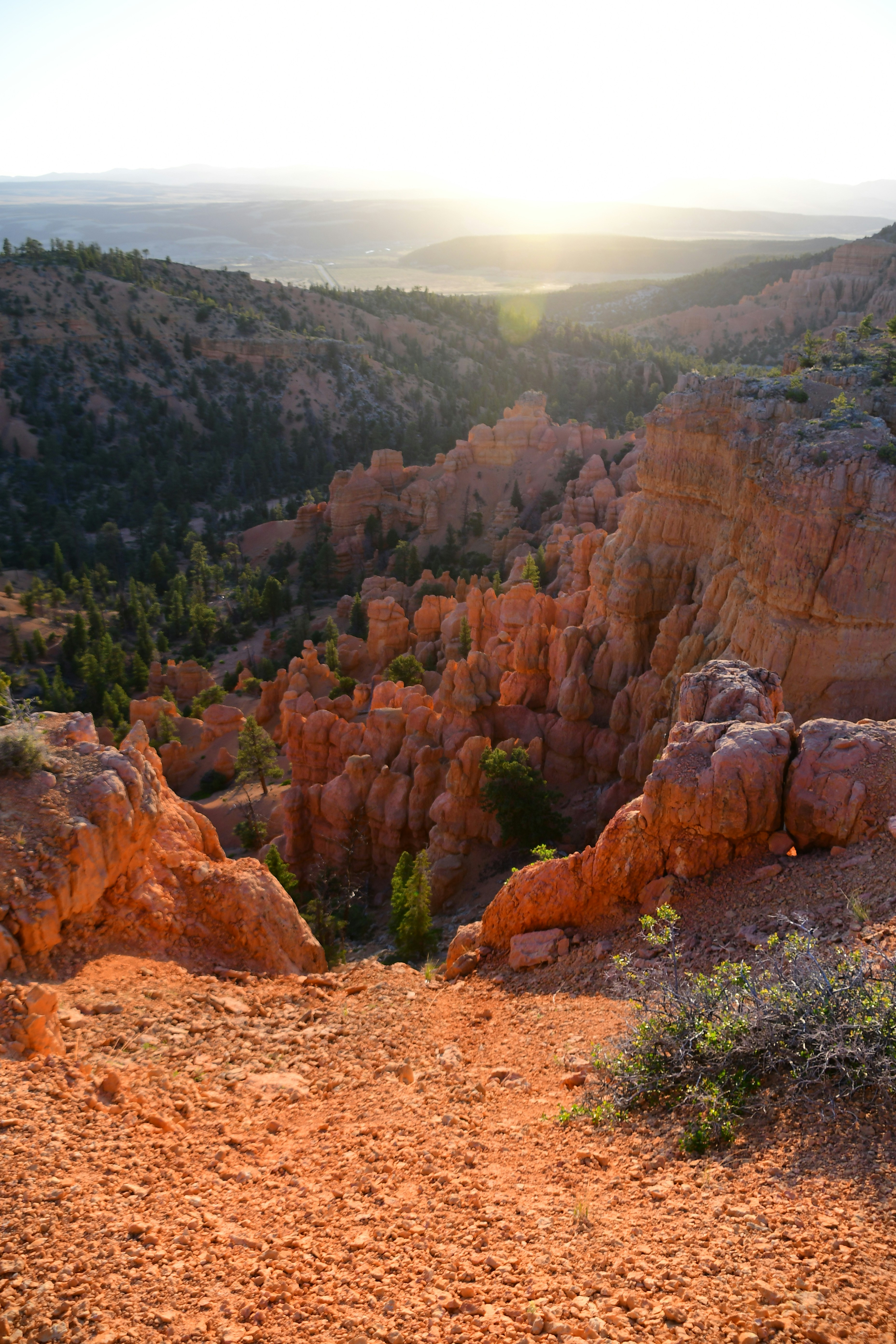 Photo by tory_hoffman