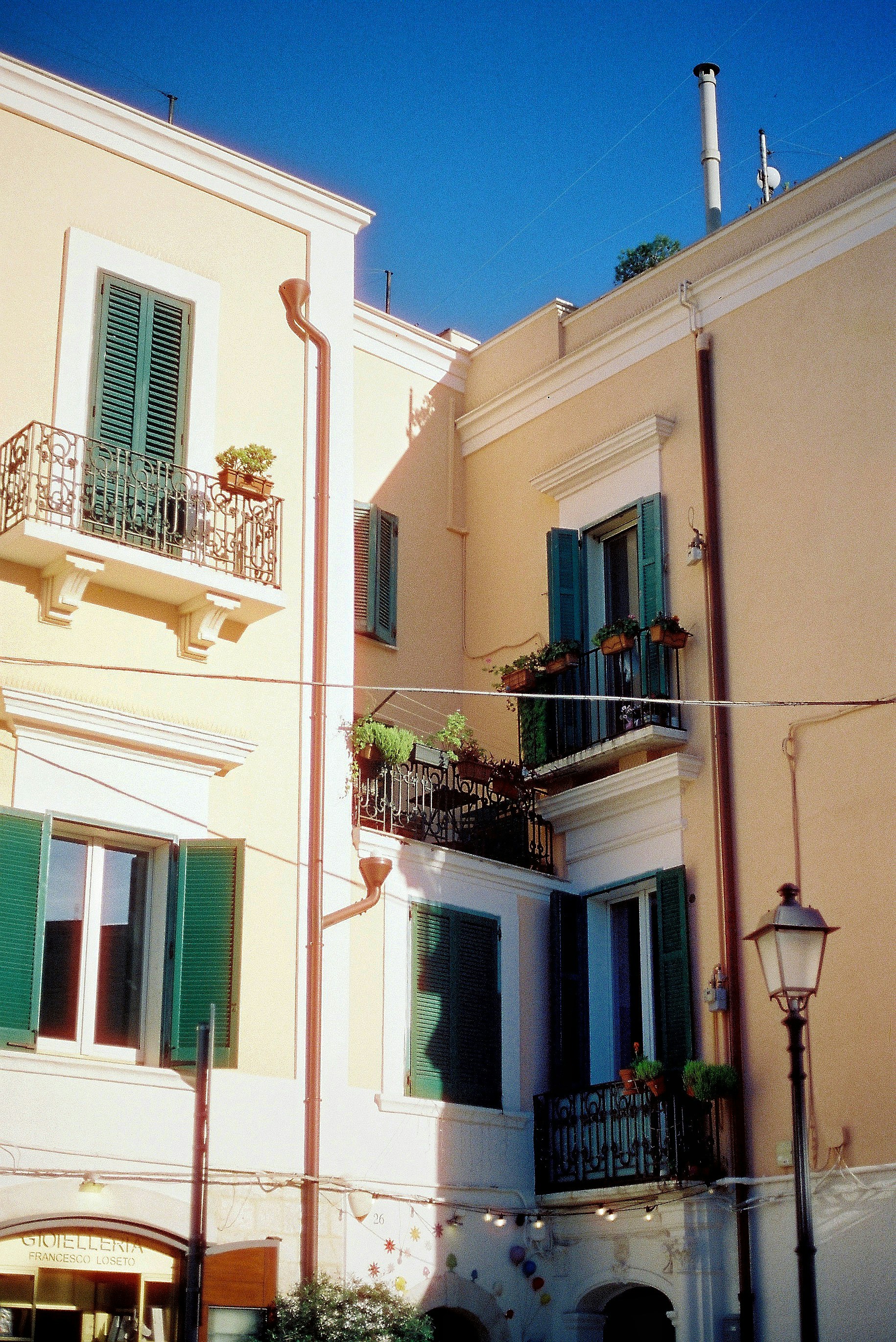 Photo by babikacharava