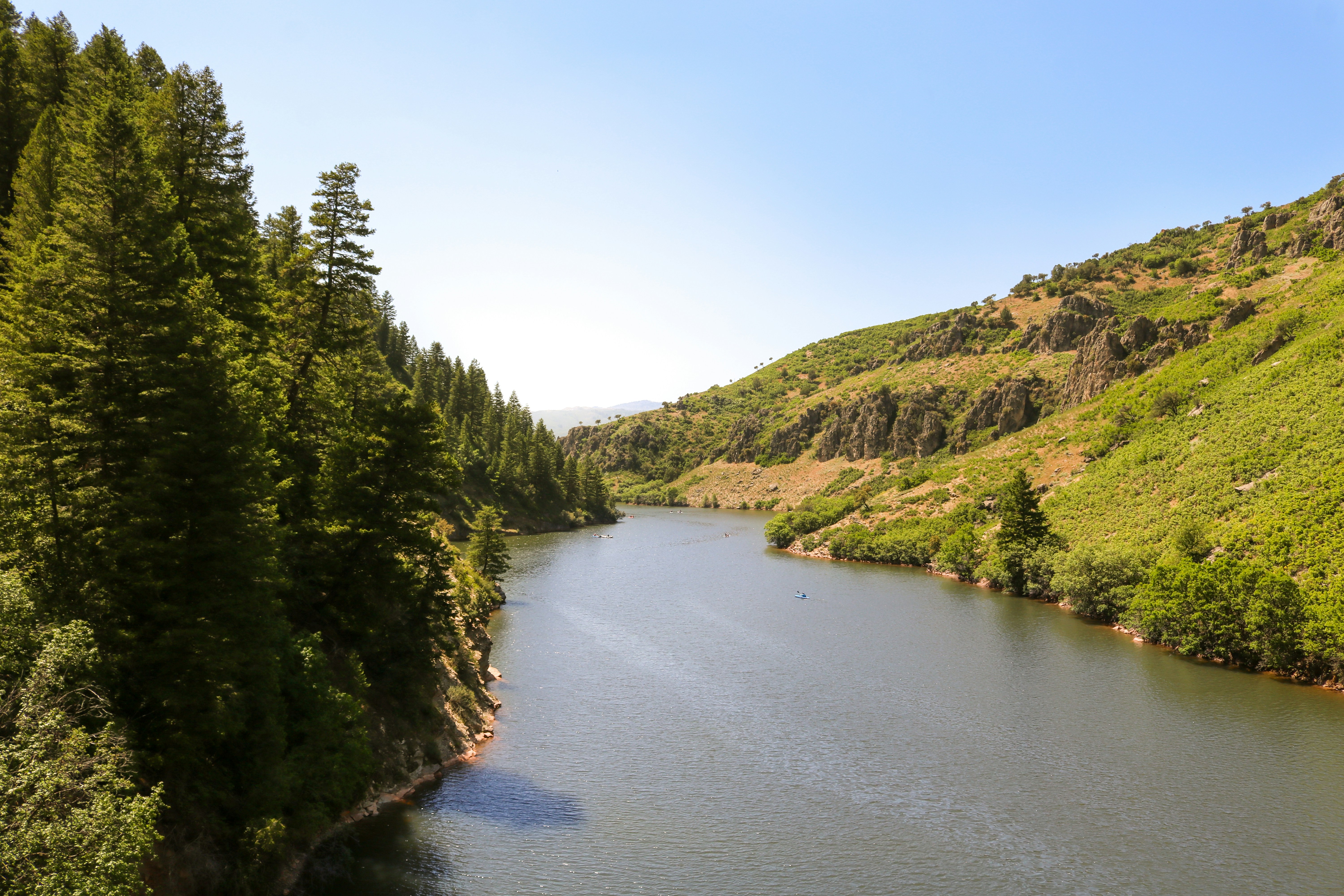 A large body of water surrounded by trees