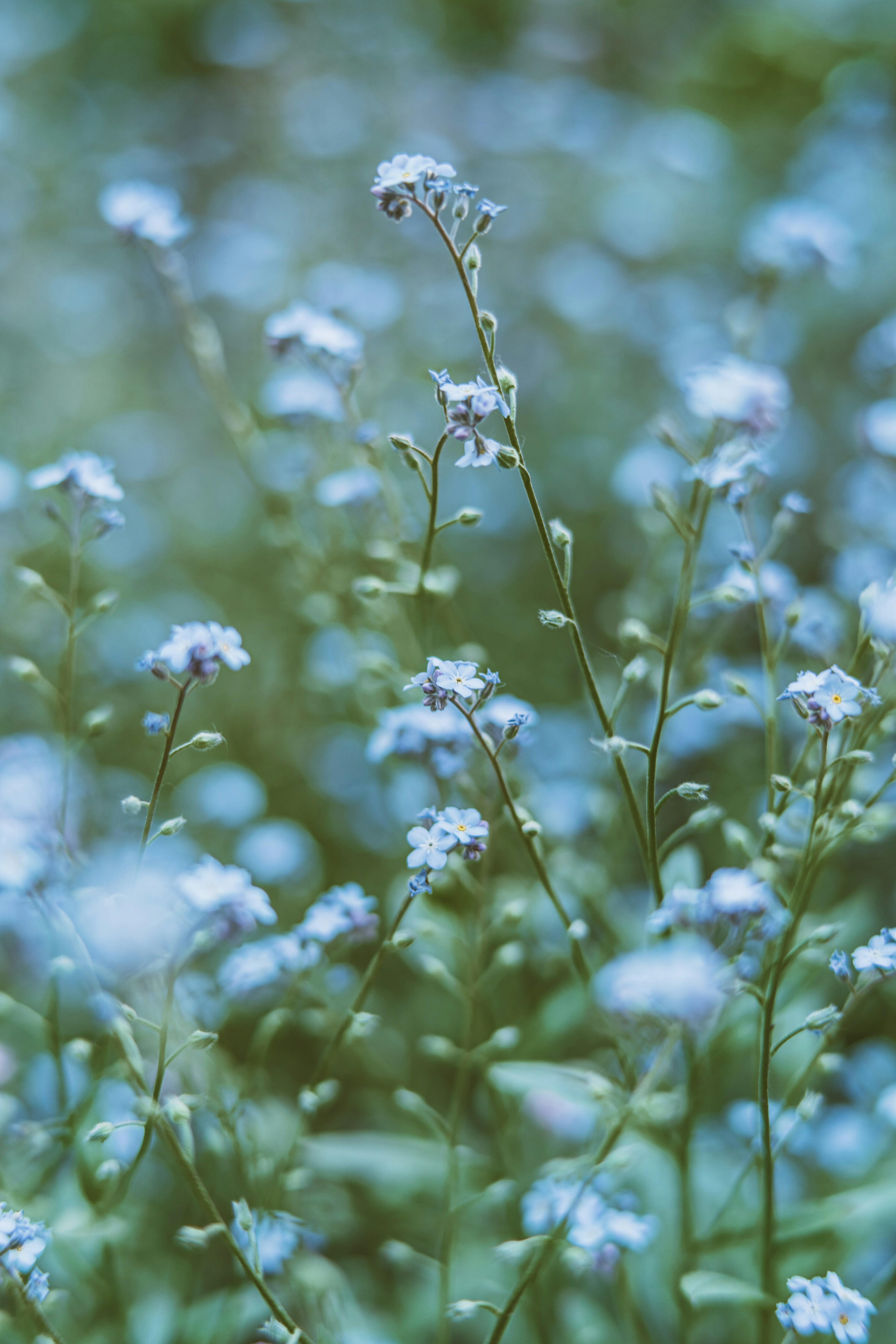 Photo by anamnesis33