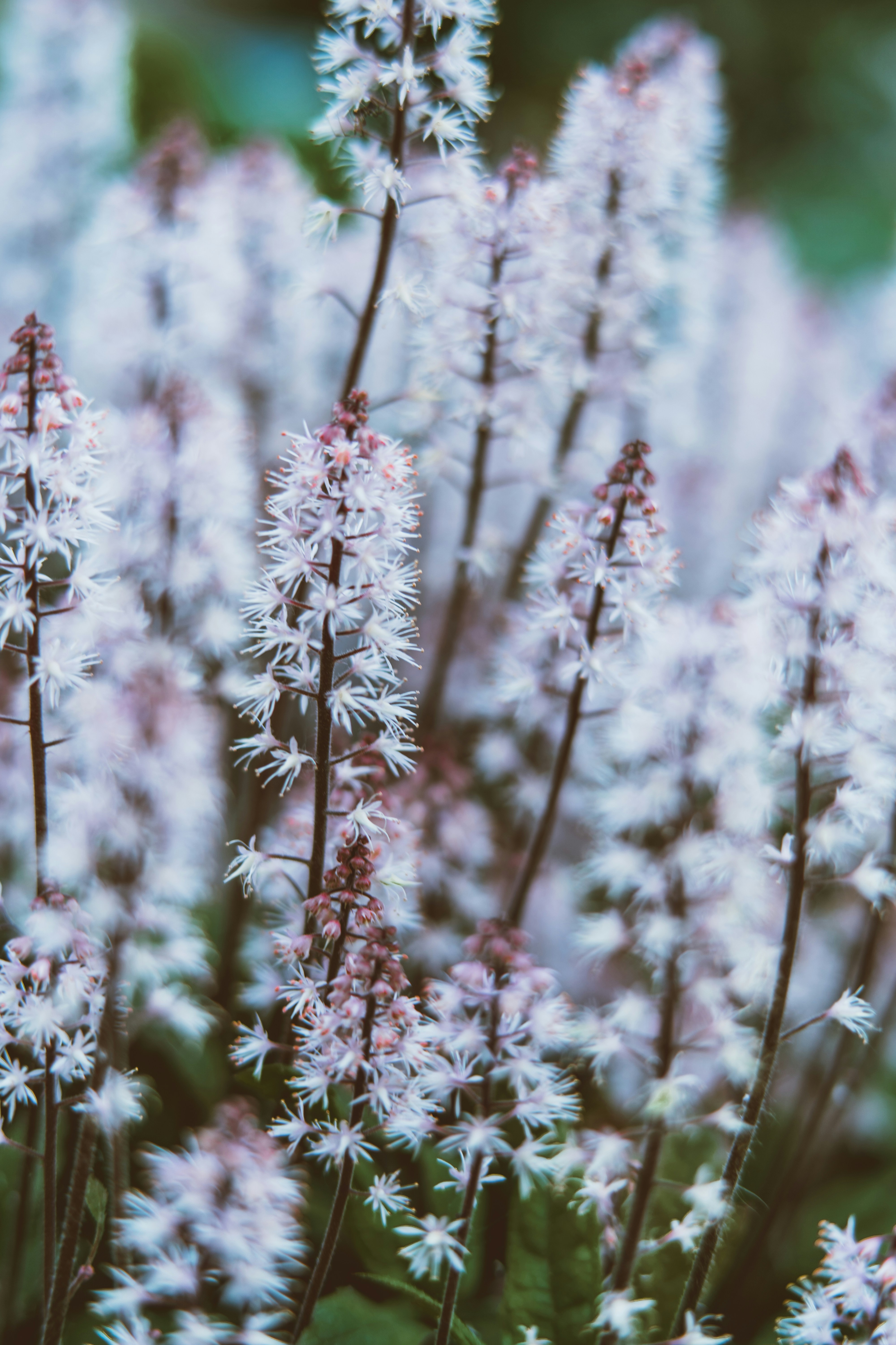 Photo by anamnesis33