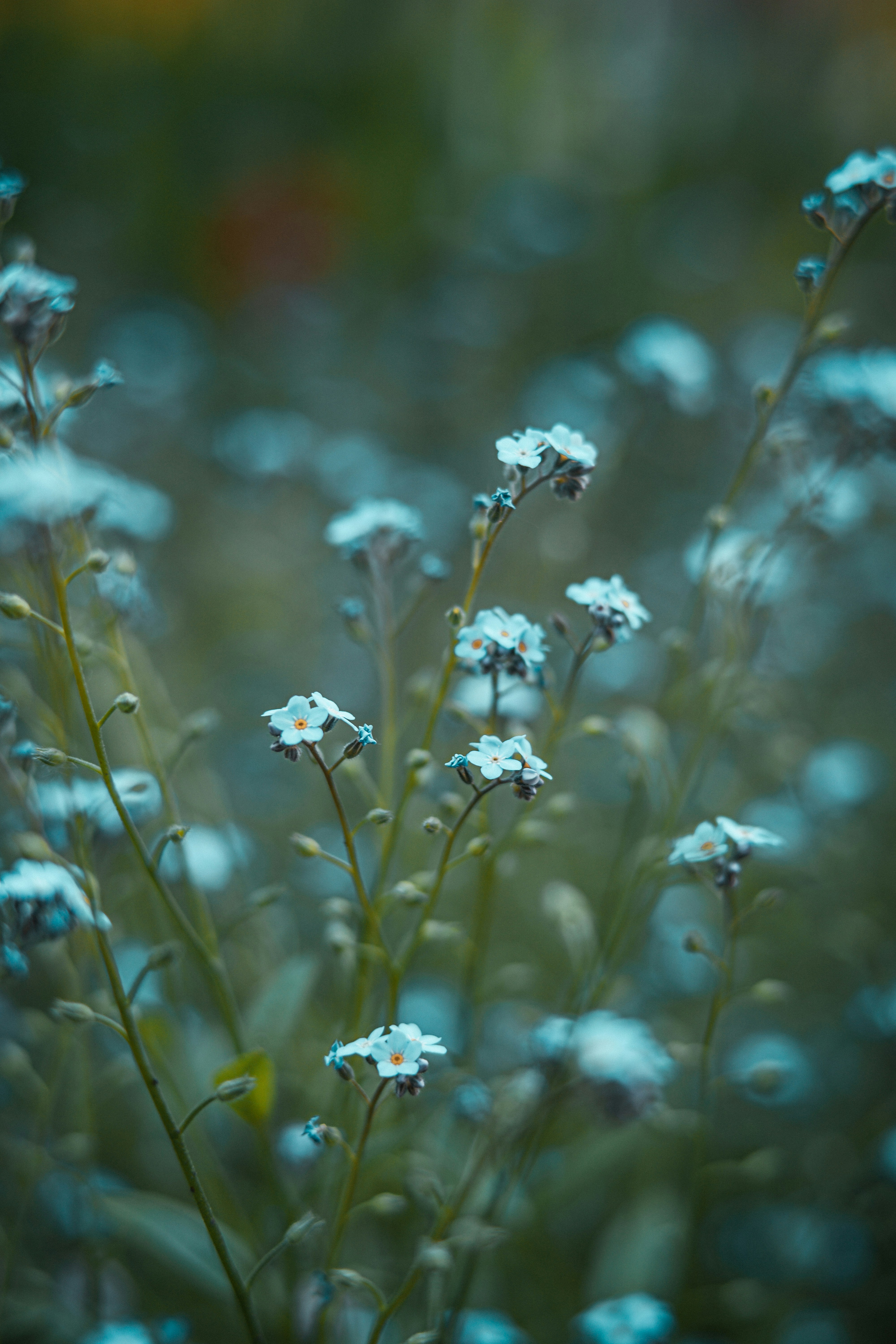 Photo by anamnesis33