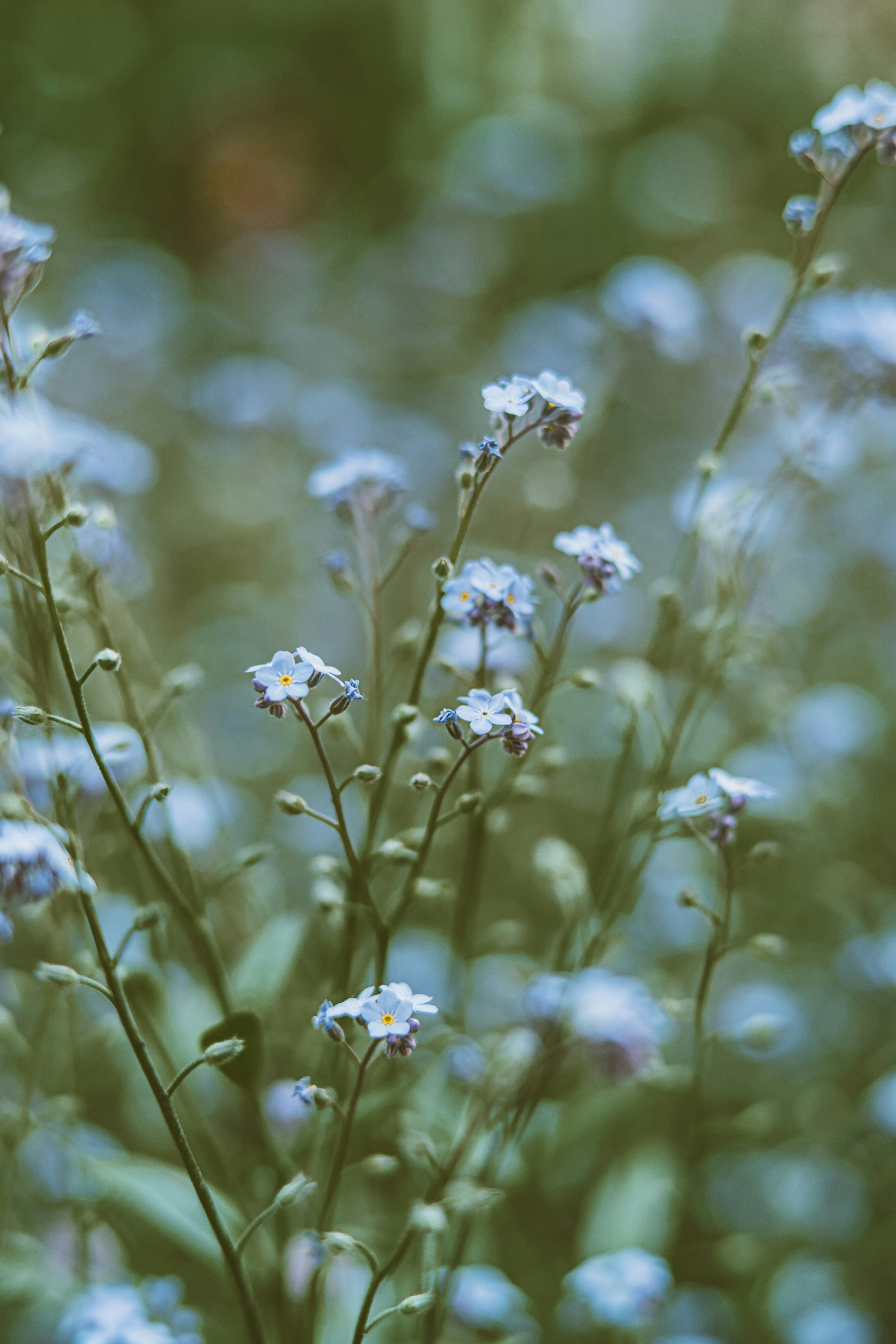 Photo by anamnesis33