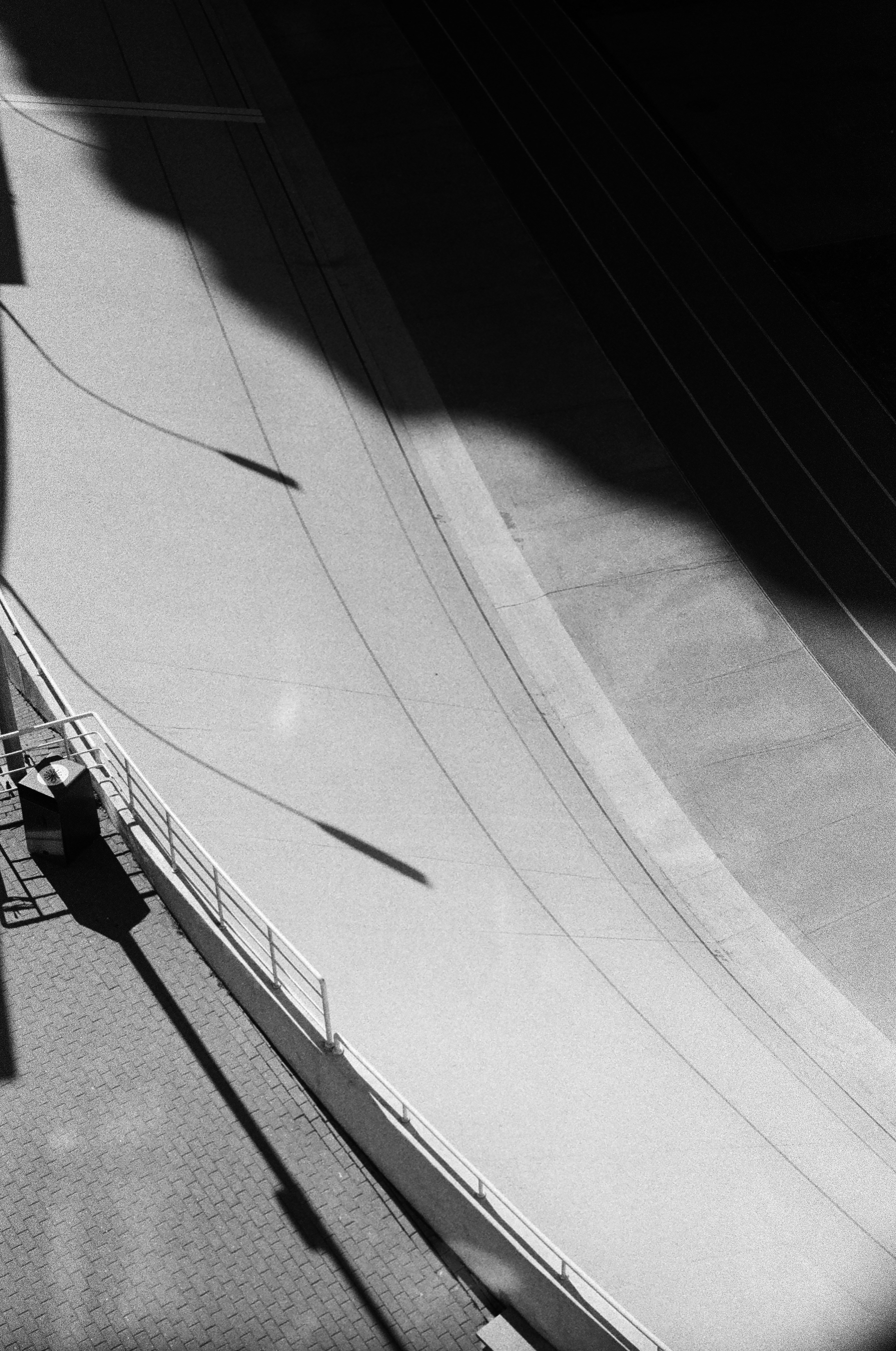 Photo by lizgrin