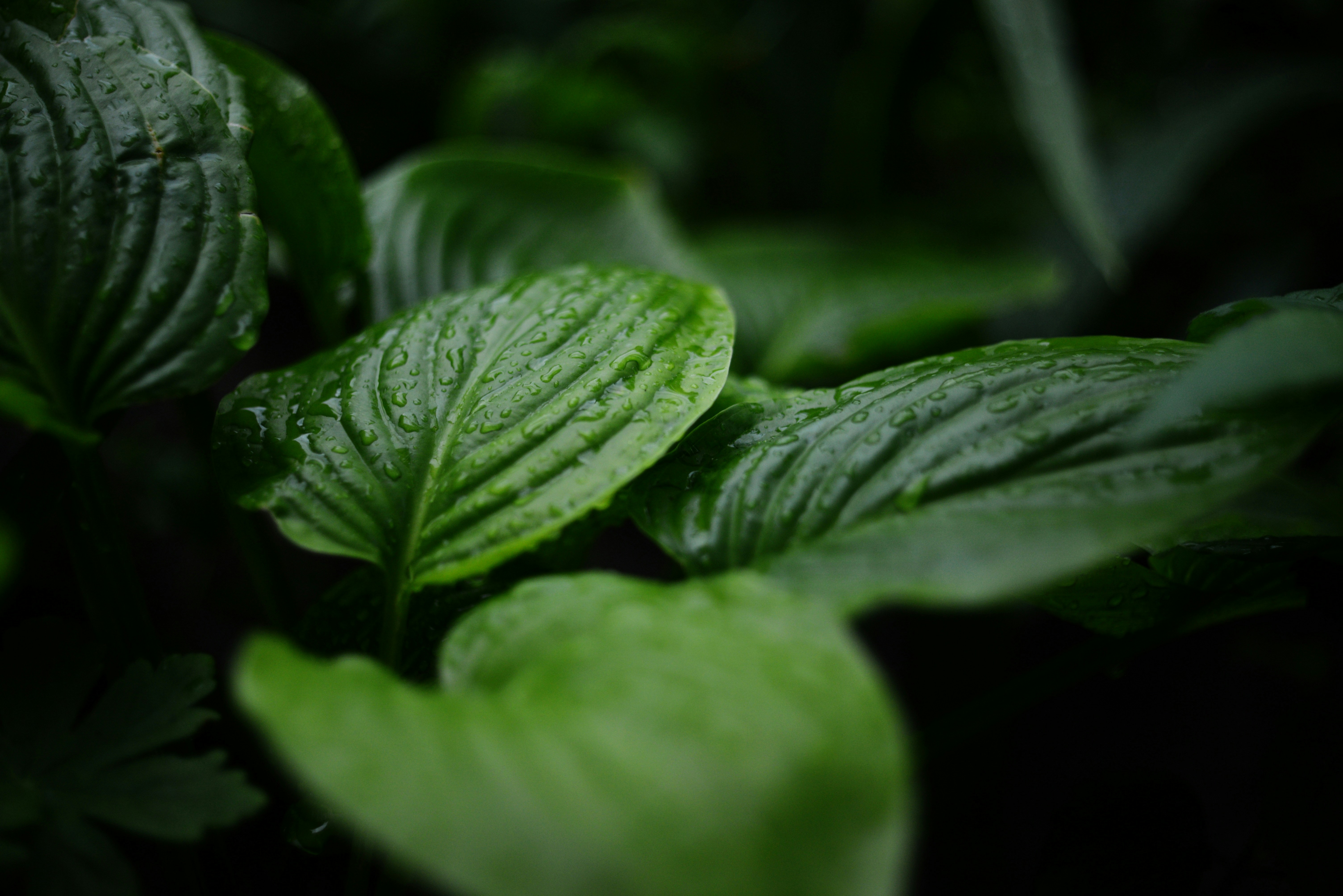 전세승계 매매 계약 시 부동산 거래 신고 방법