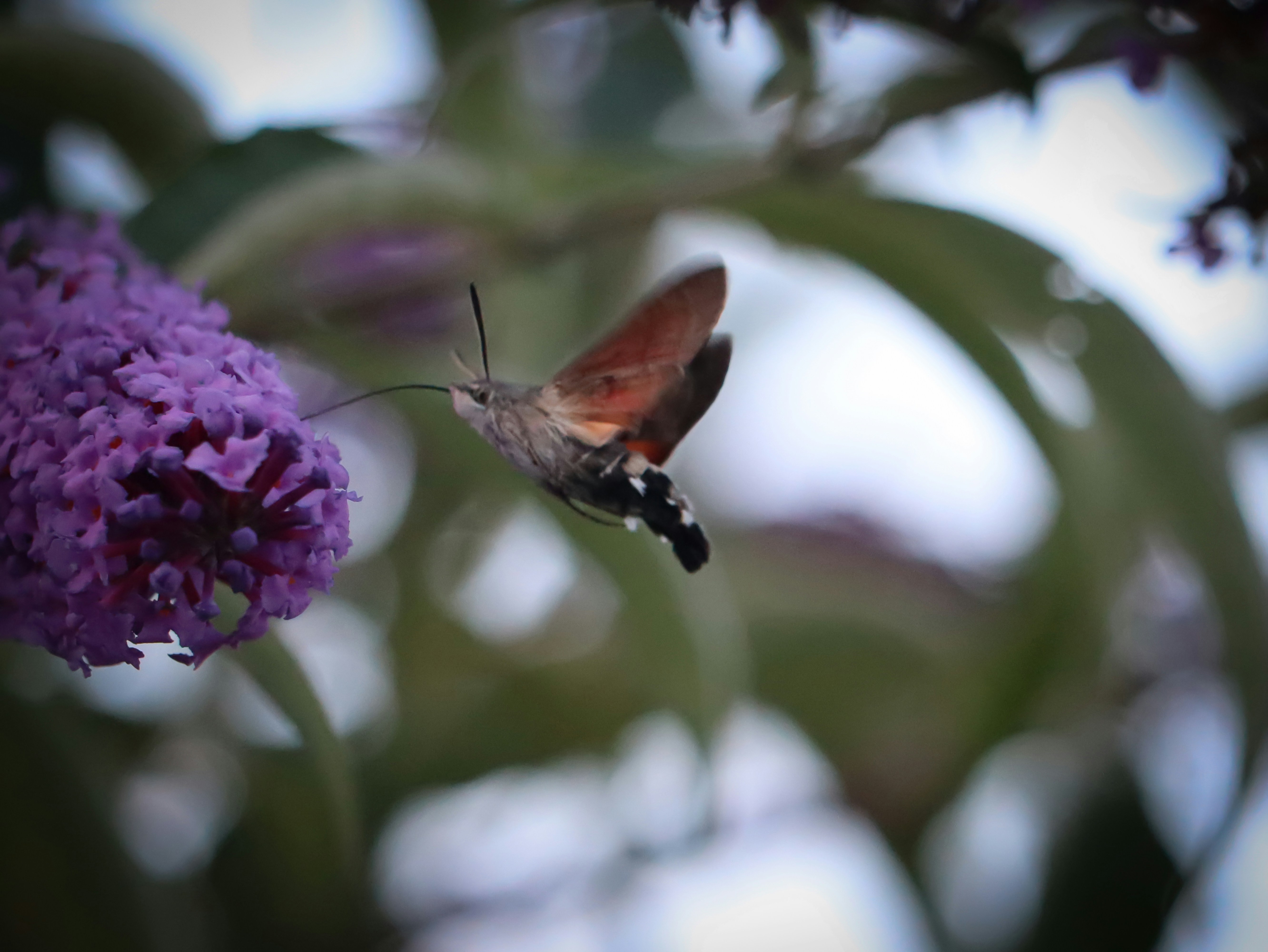 Photo by 3kolone