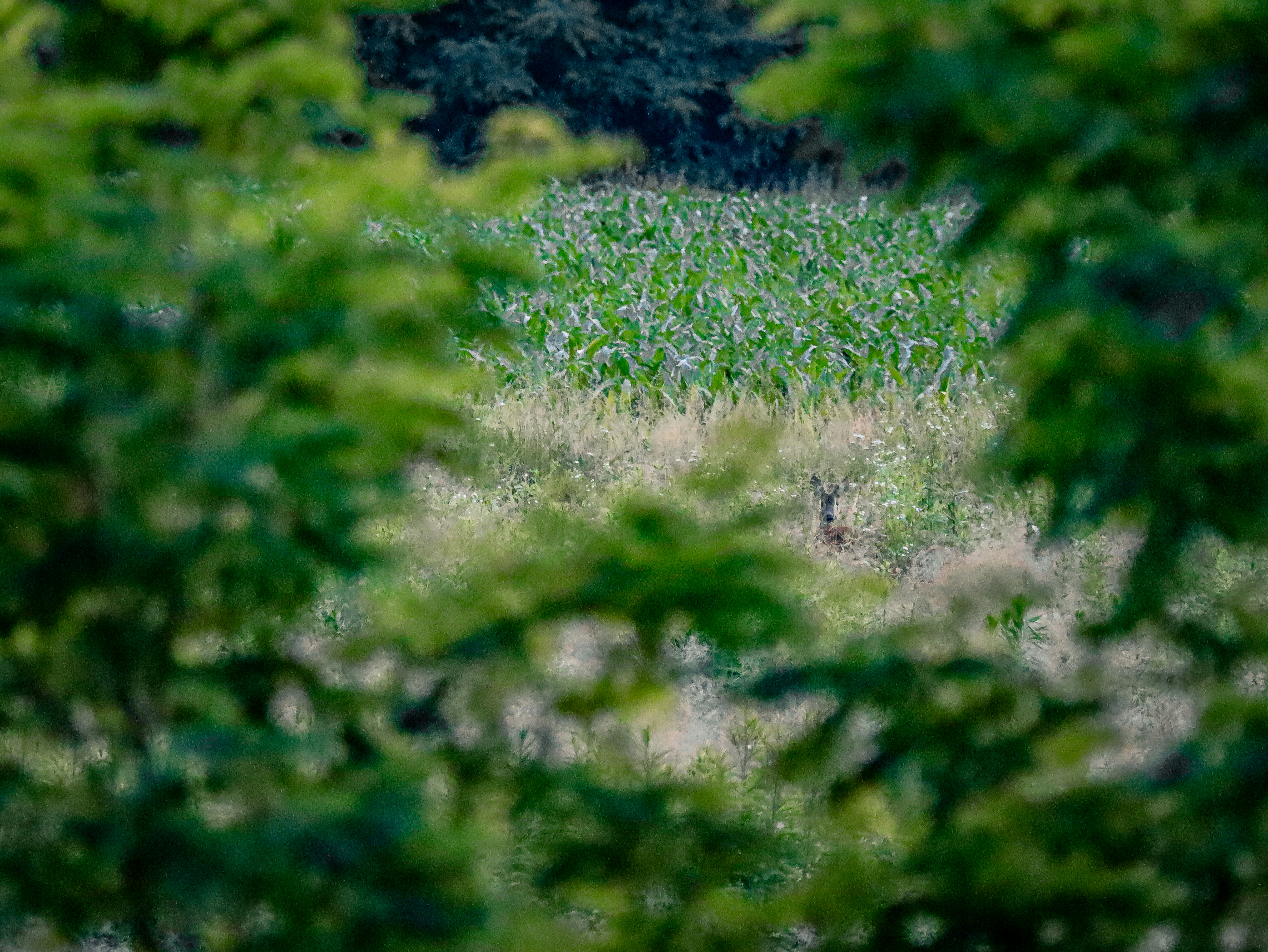 Photo by 3kolone