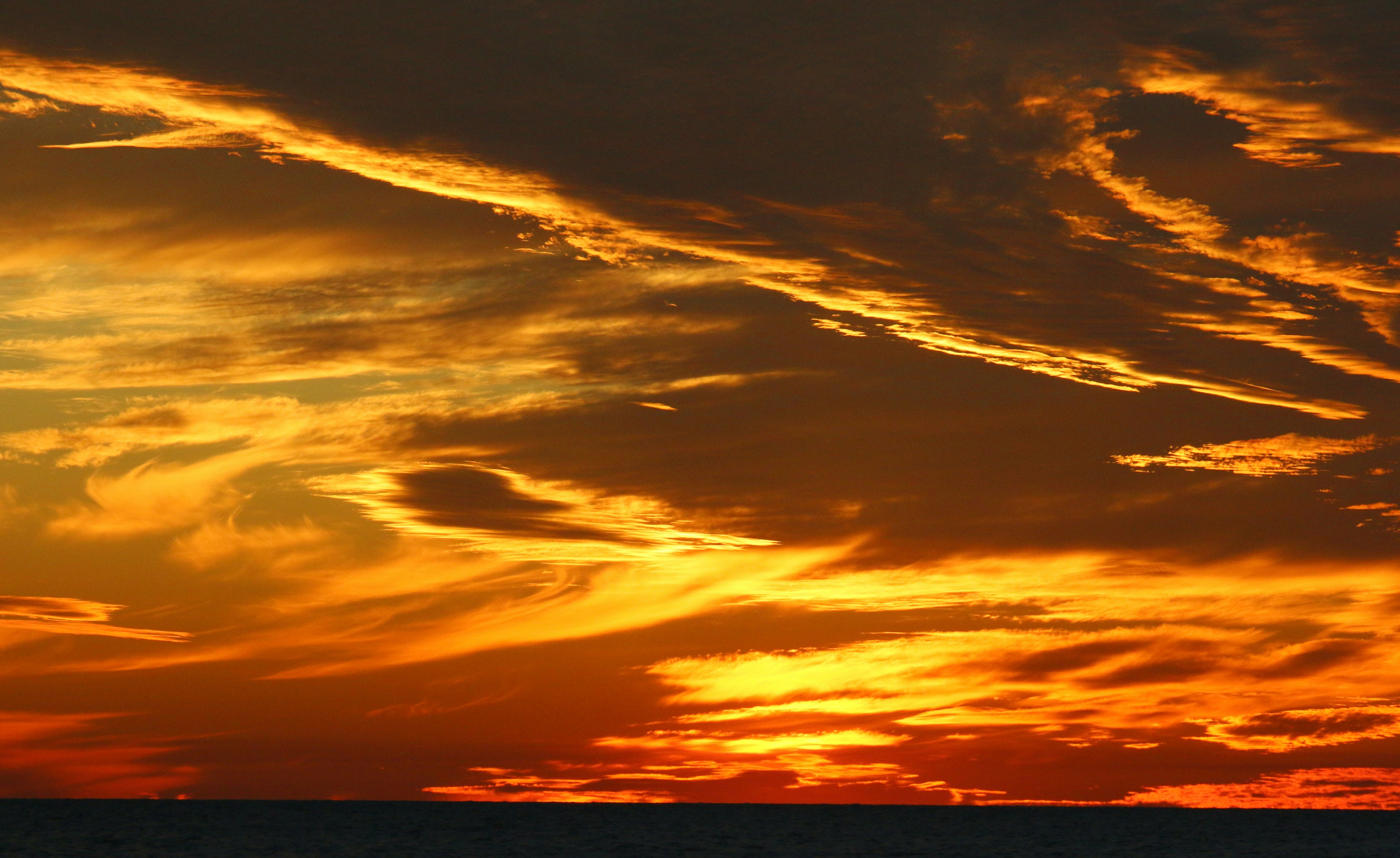 Welcome Back Anna Maria Island