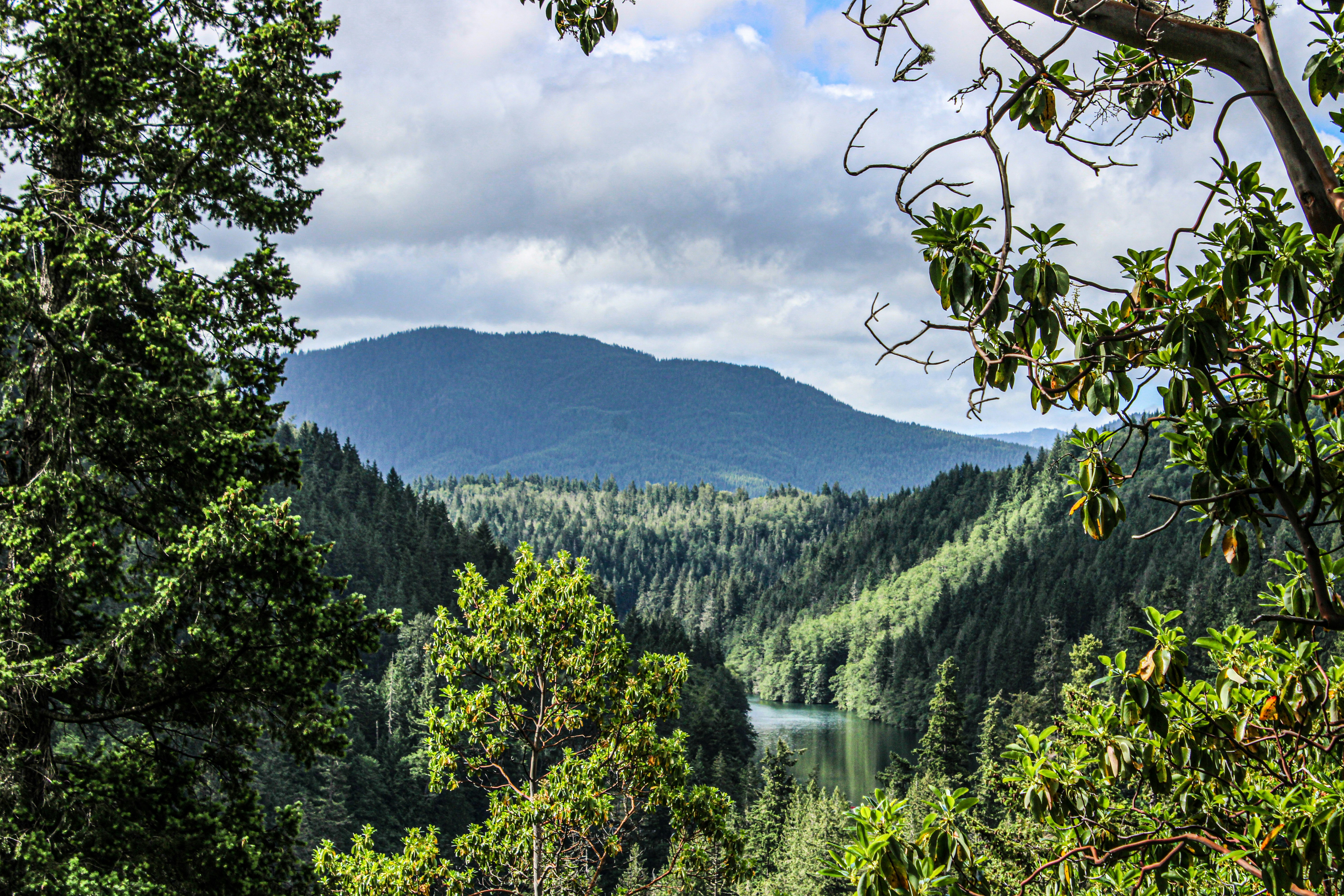 Photo by prphotography262