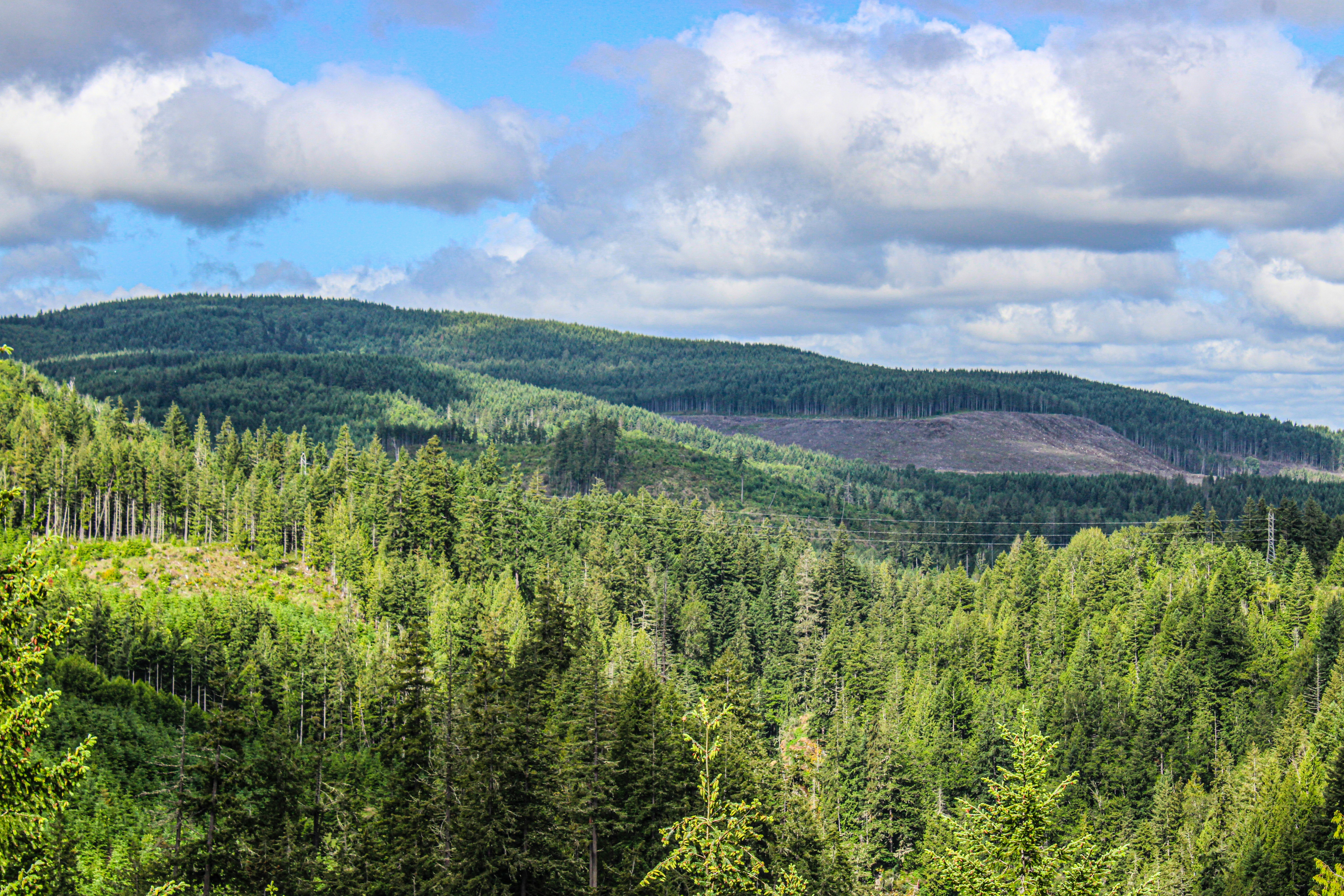 Photo by prphotography262