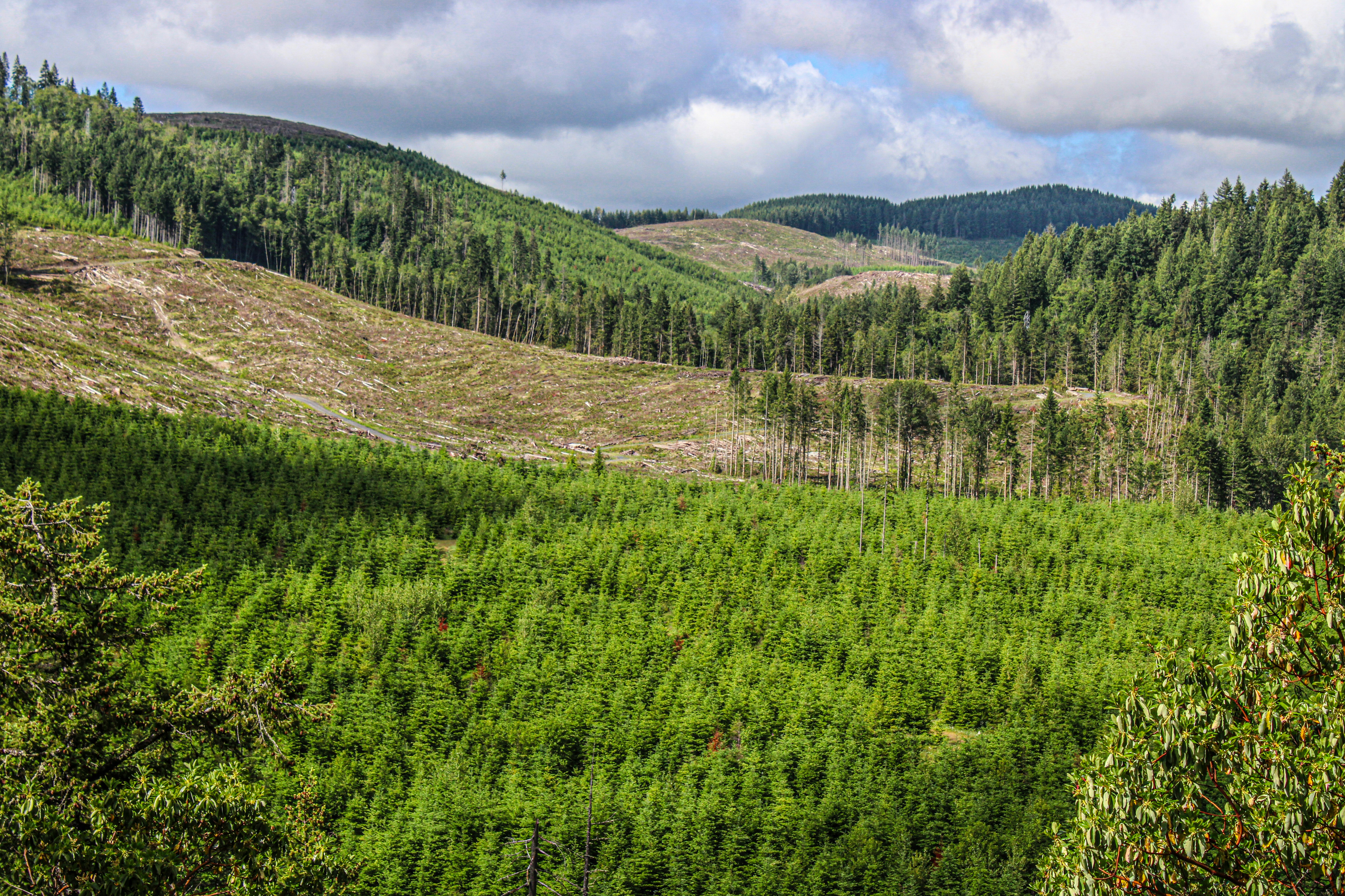 Photo by prphotography262