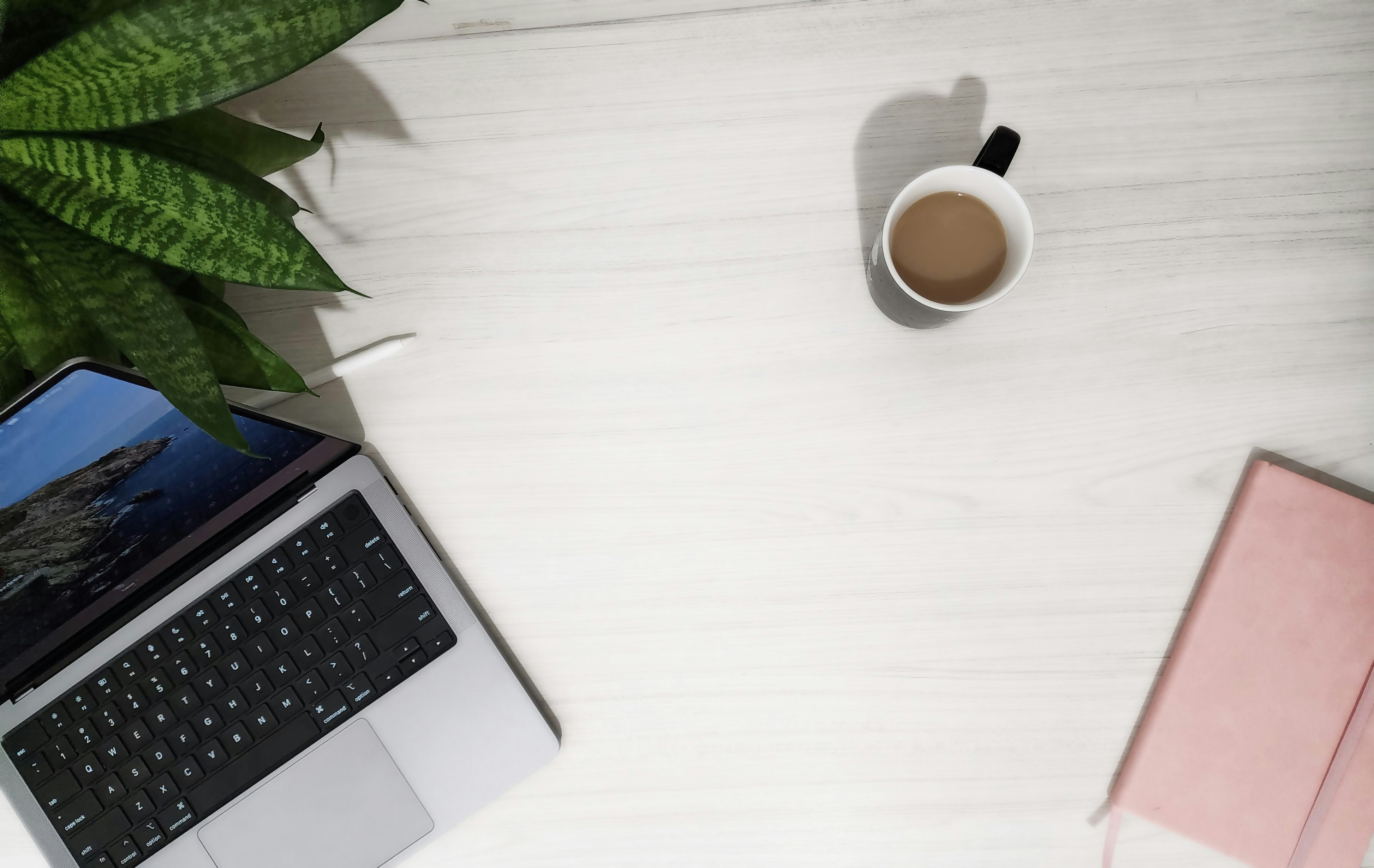 Photo by andreiabohner