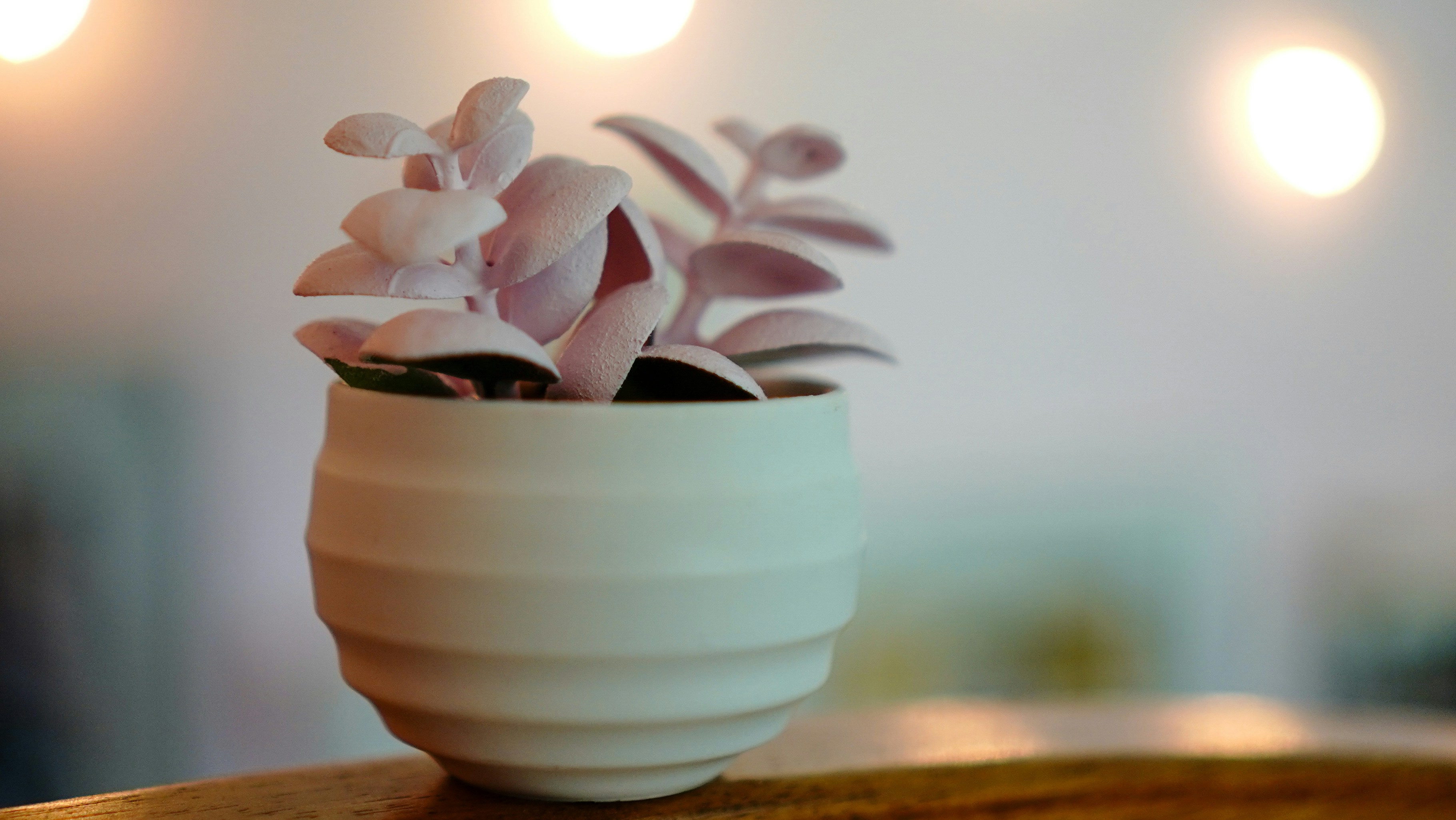 Photo by autumntomich