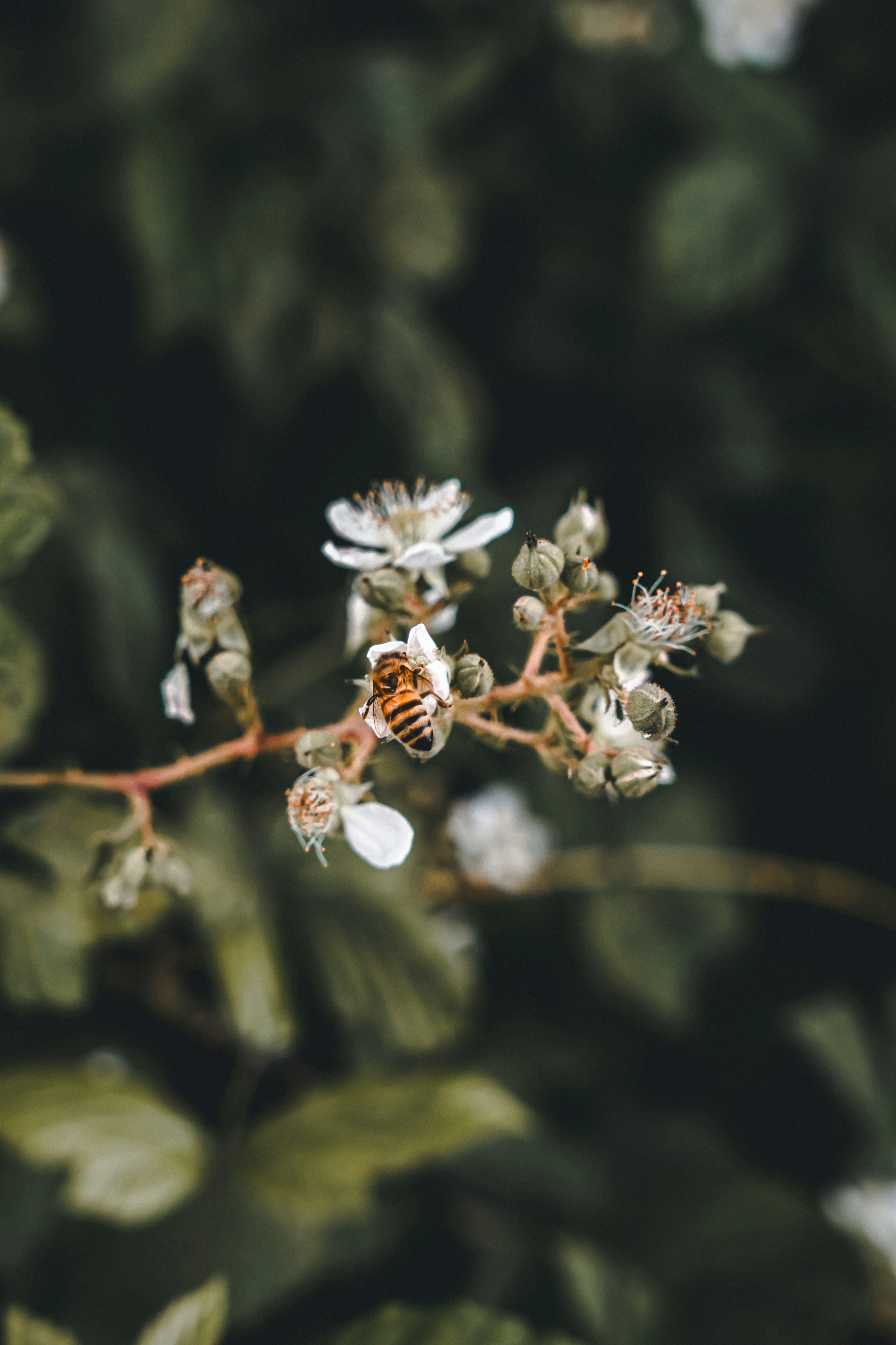 Photo by wojtekpaczes