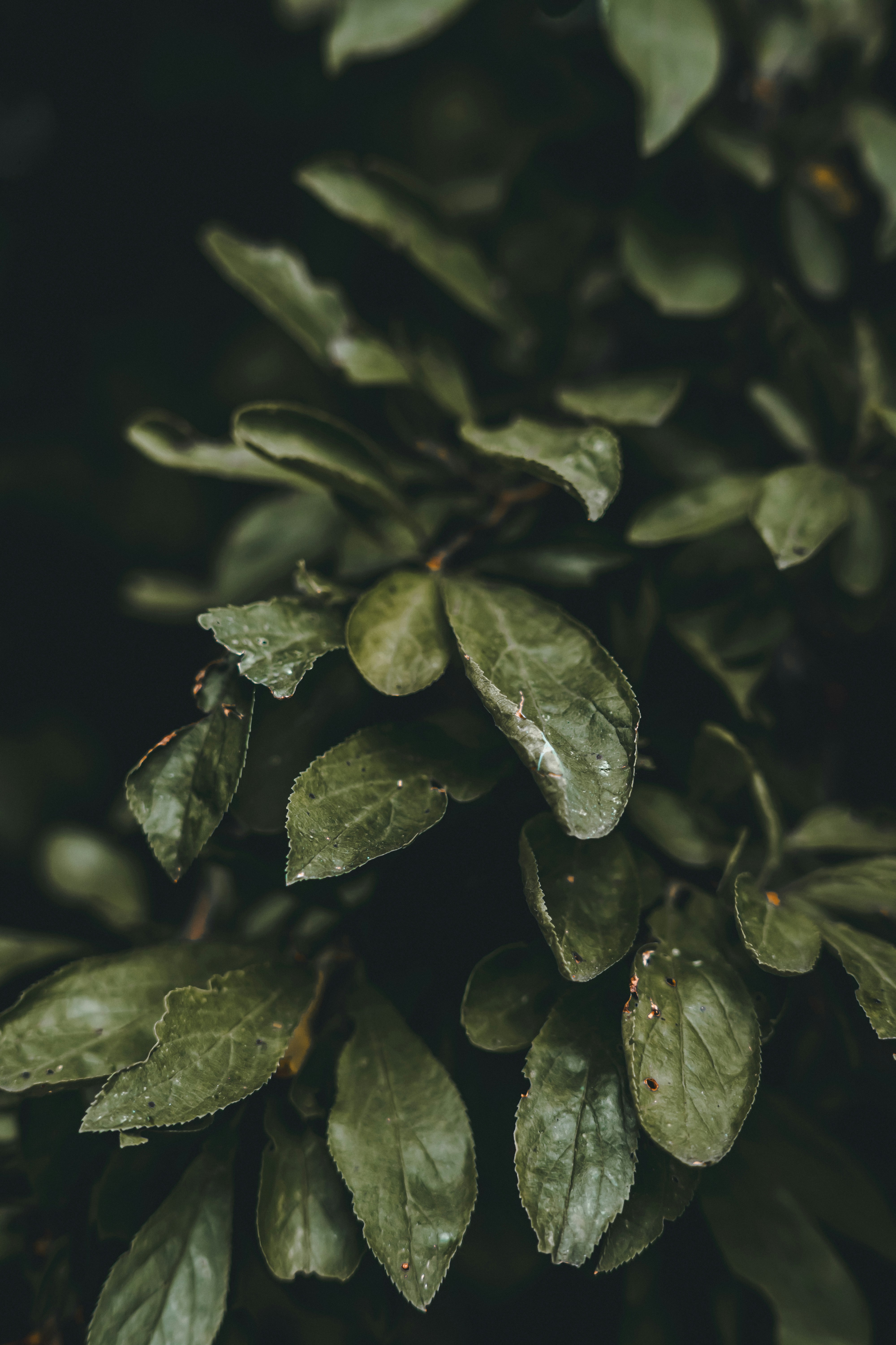 Photo by wojtekpaczes