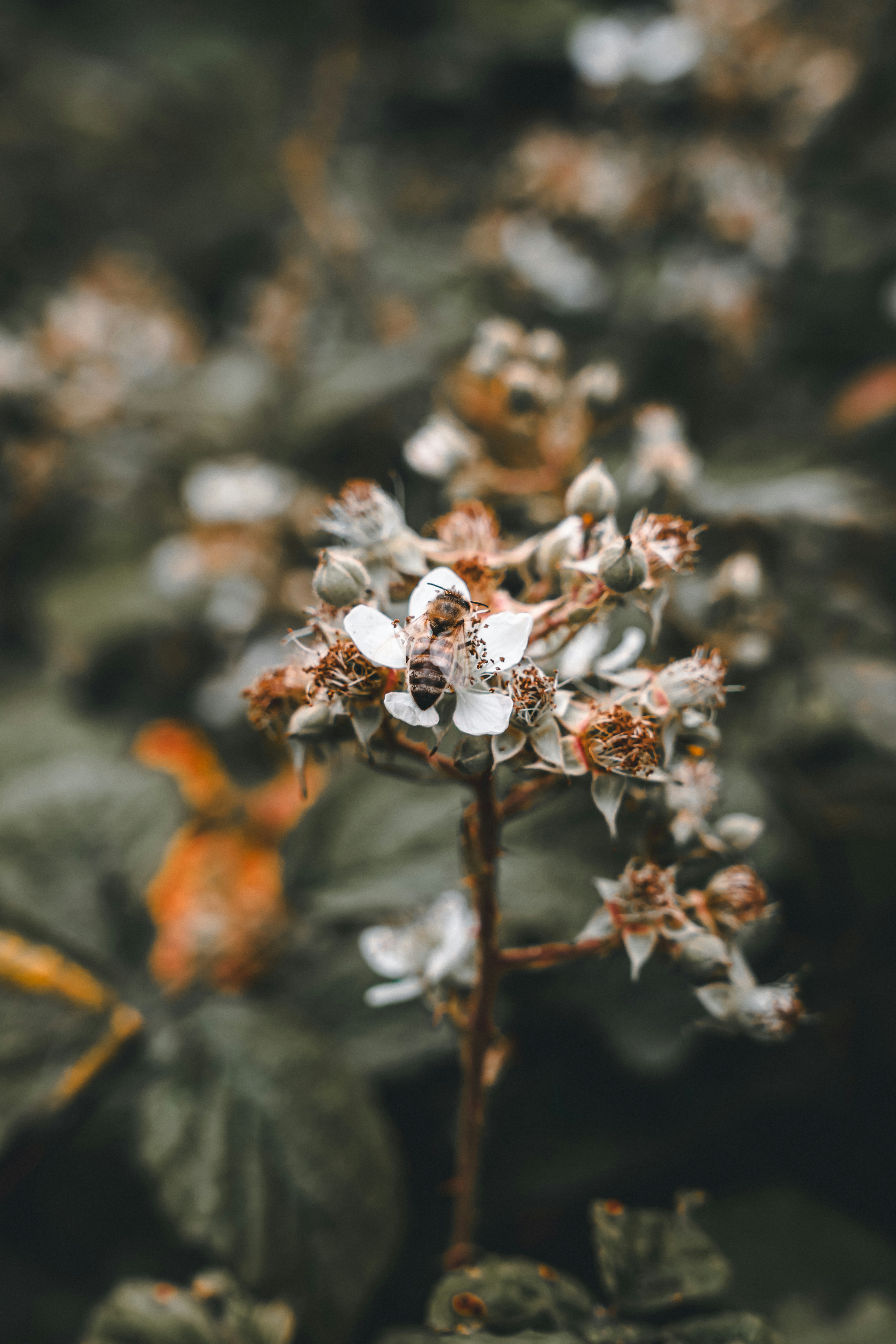 Photo by wojtekpaczes