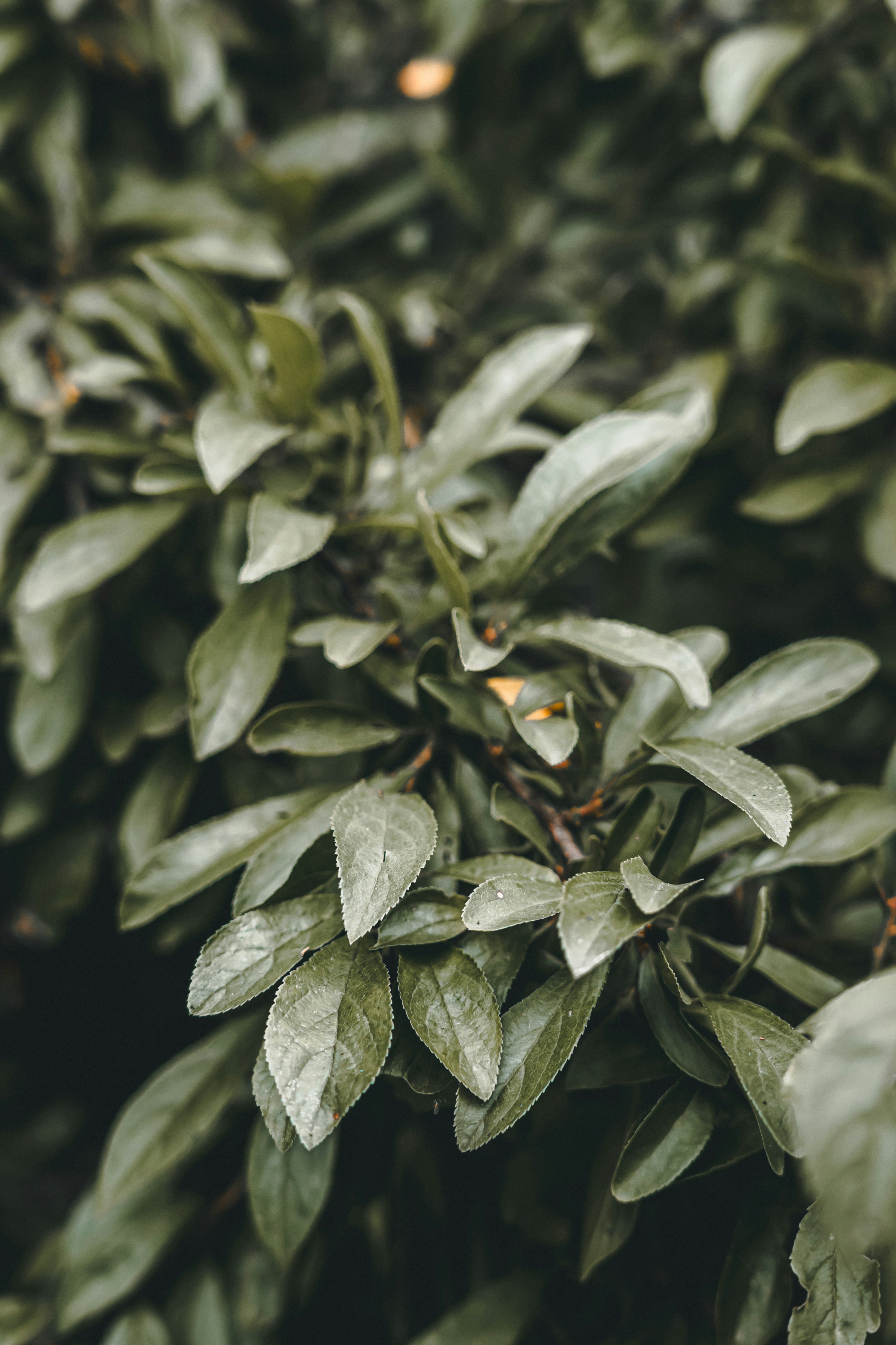 Photo by wojtekpaczes