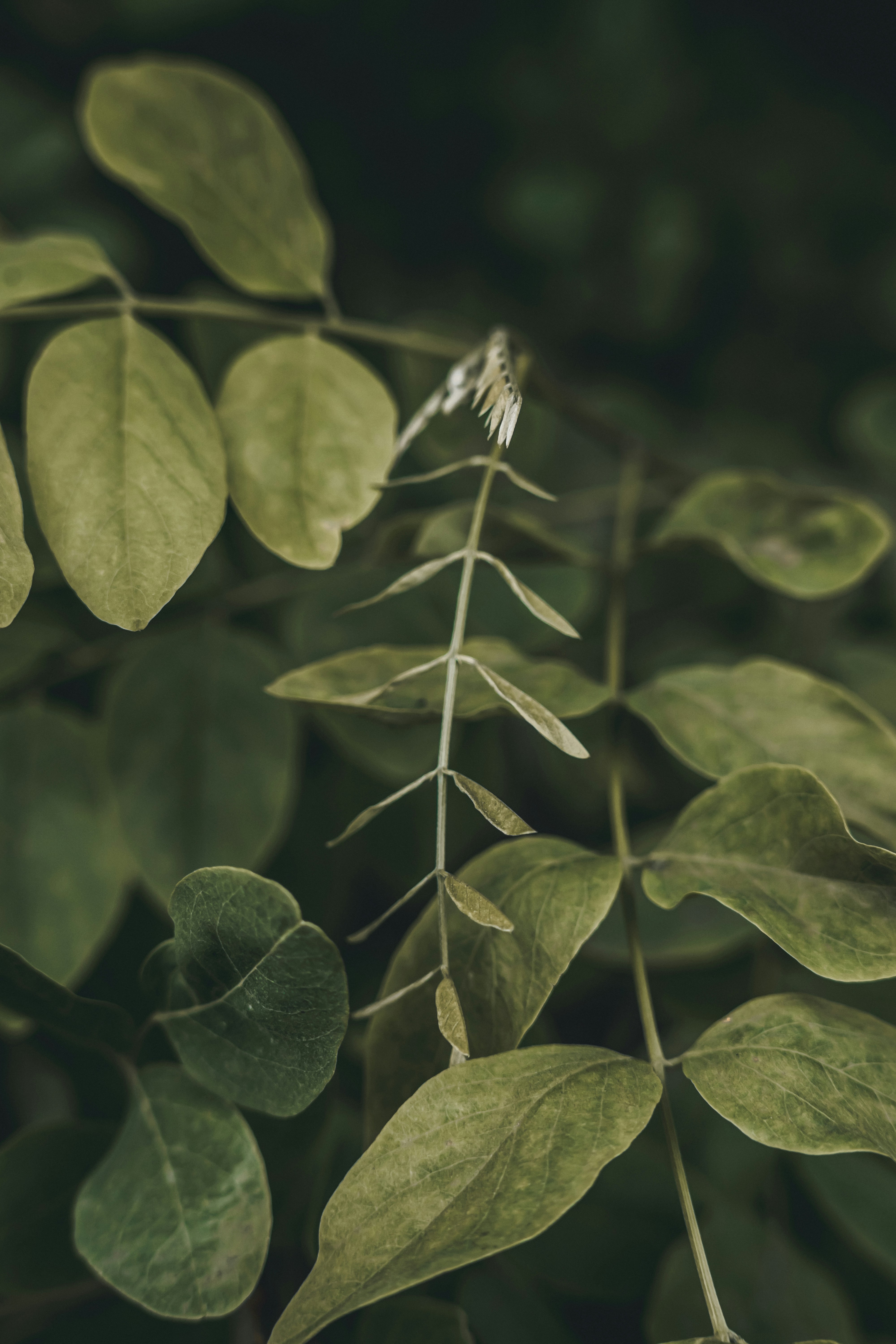 Photo by wojtekpaczes