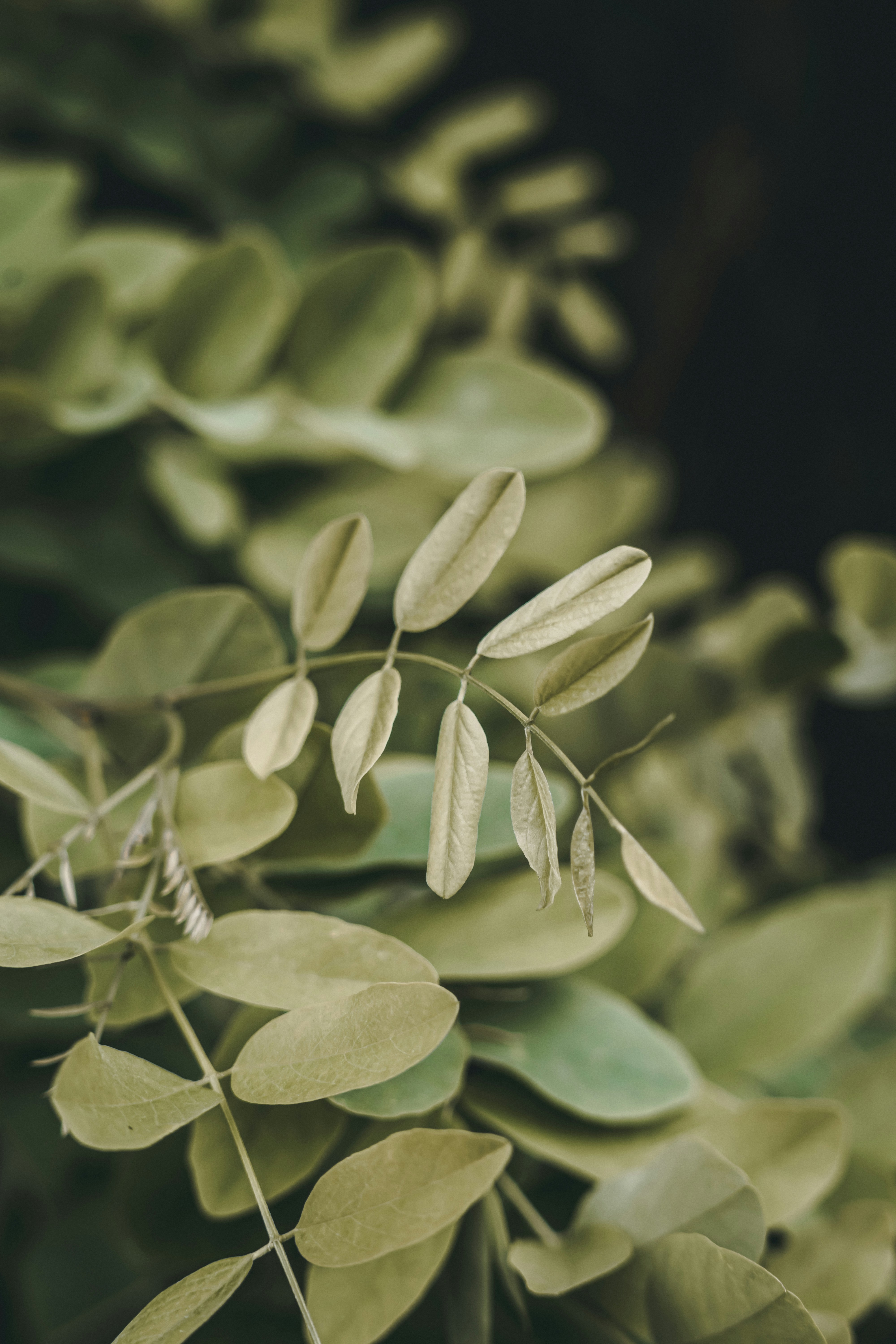 Photo by wojtekpaczes