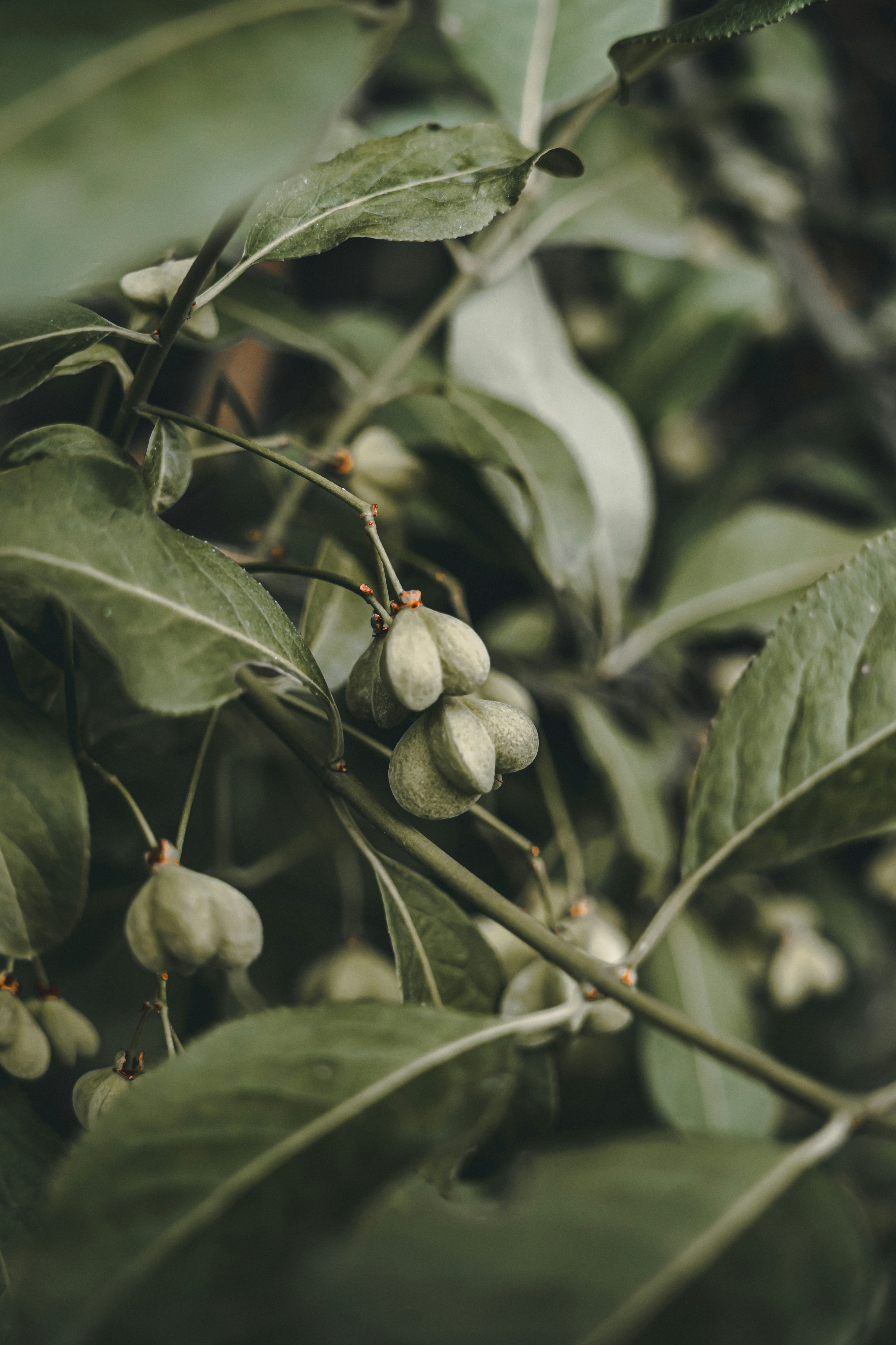 Photo by wojtekpaczes