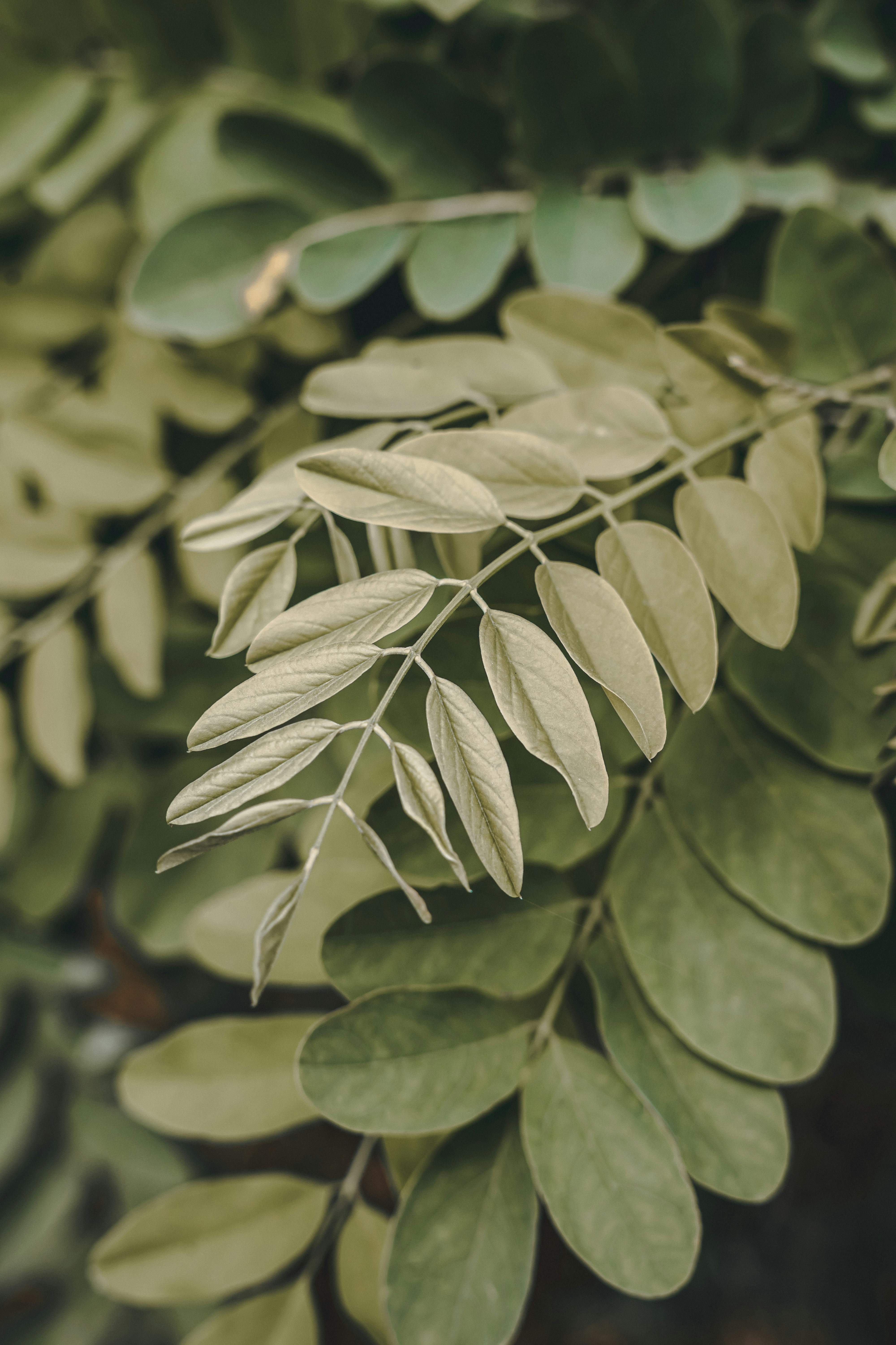 Photo by wojtekpaczes